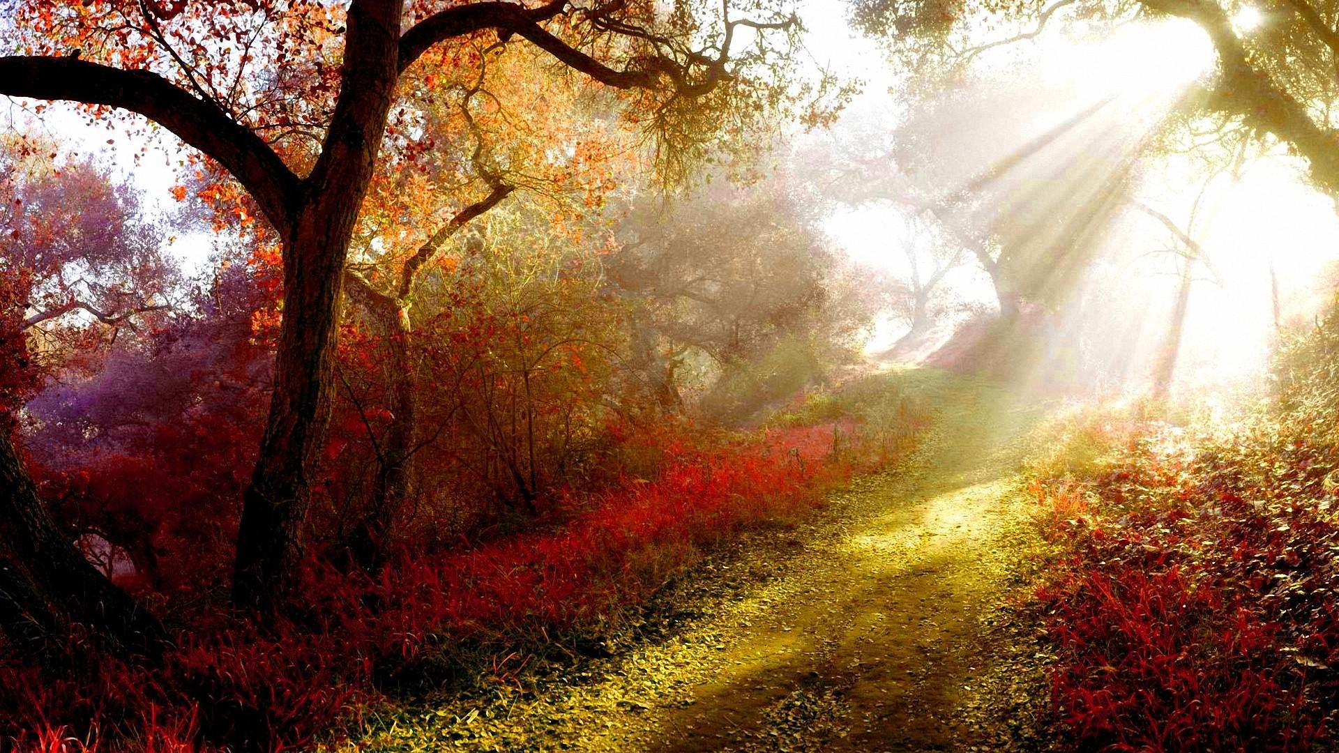 Beautiful Autumn Morning Landscape HD Wallpaper