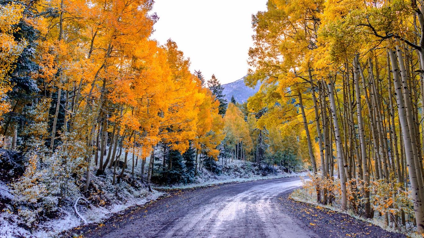 Download wallpaper 1366x768 aspen, colorado, usa, trees