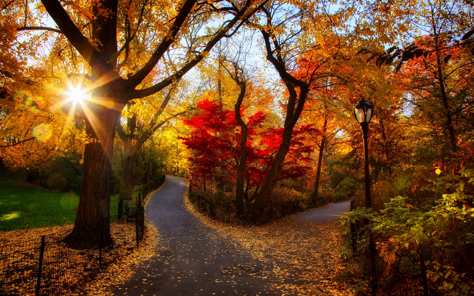 Autumn Morning Wallpapers - Wallpaper Cave