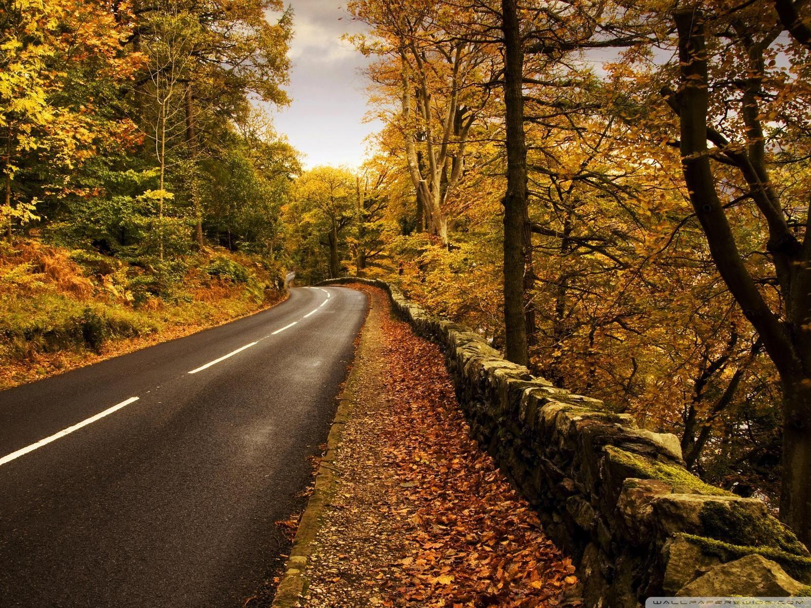 Autumn Road wallpaper. NATURE. Landscape wallpaper
