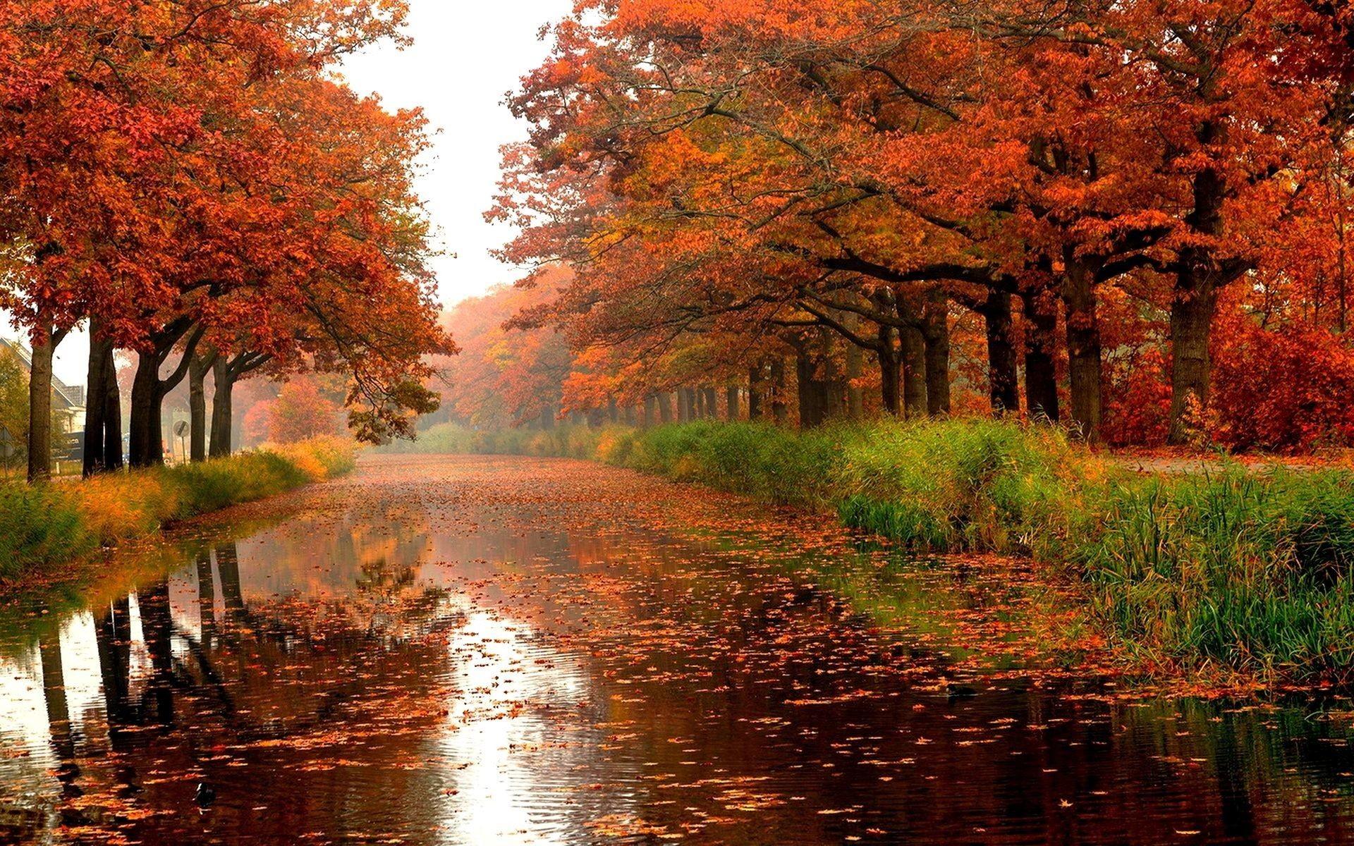 Entrance To Autumn Wallpapers Wallpaper Cave