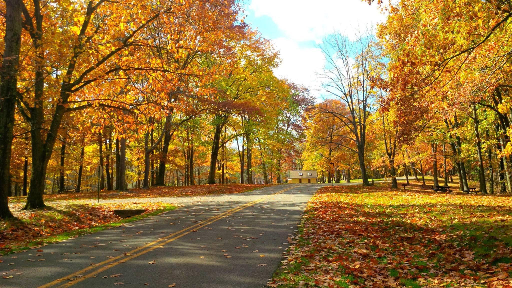Best Fall Foliage Drives in Western Pennsylvania