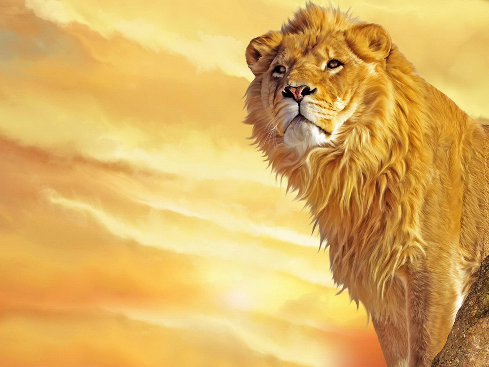 Free Animated Lion, Download Free Clip Art, Free Clip Art