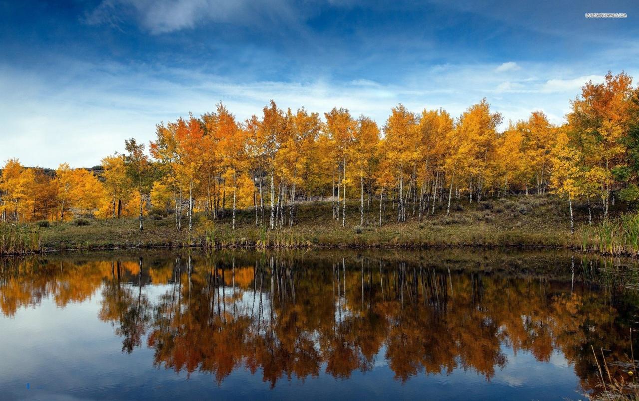 Golden Autumn Reflections Wallpapers - Wallpaper Cave