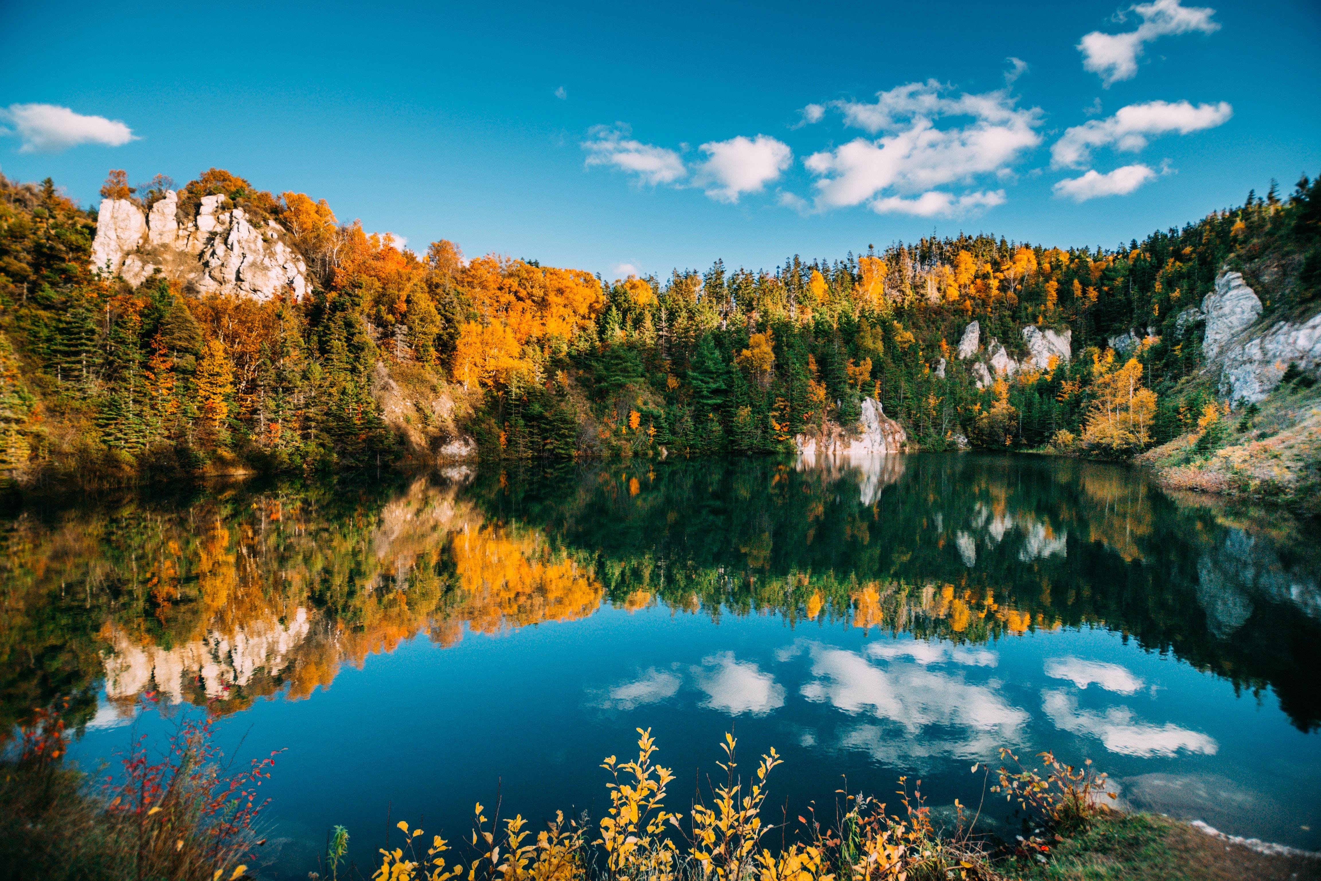 wallpaper autumn, lake, trees, water, reflection HD