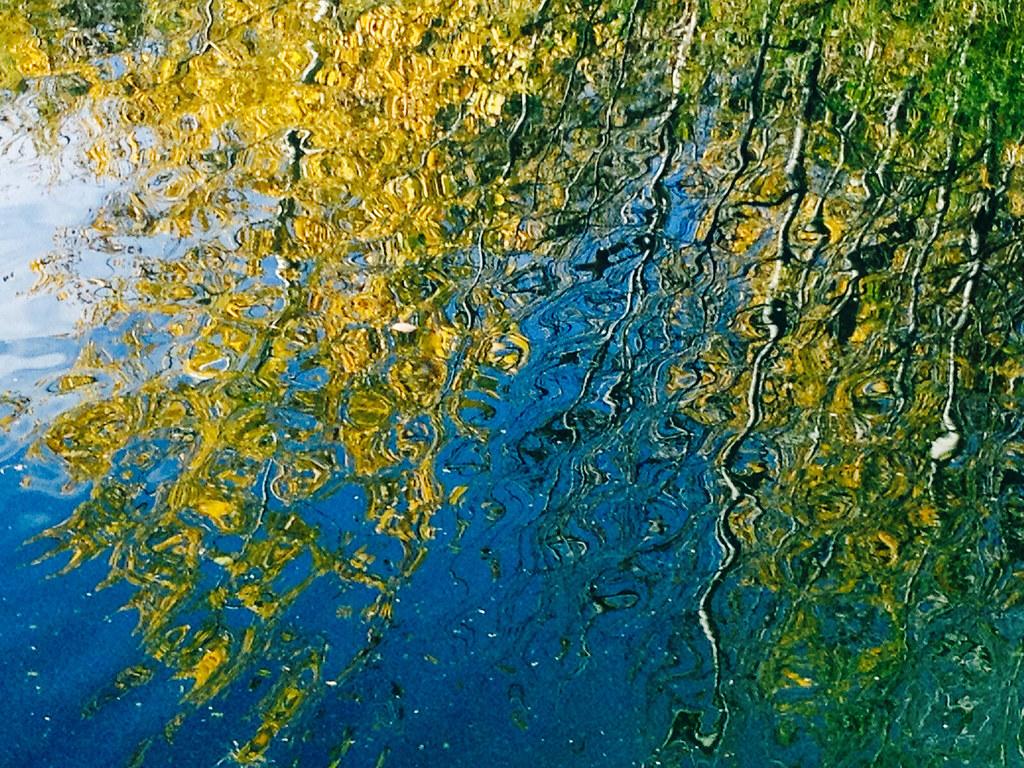 Water Art: Golden Autumn reflections. Bluebird Estates, Alb