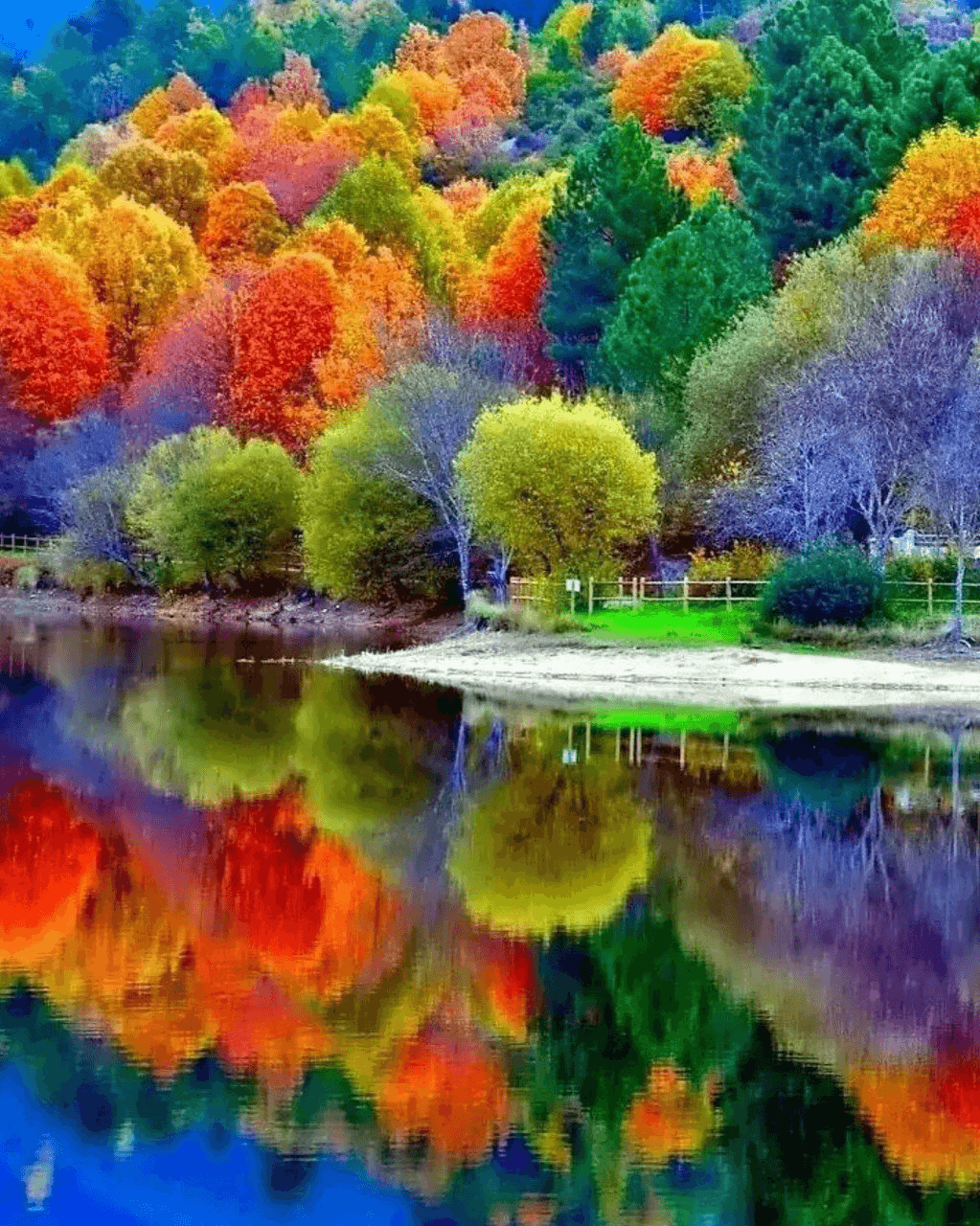 Fall Reflections Wallpapers - Wallpaper Cave