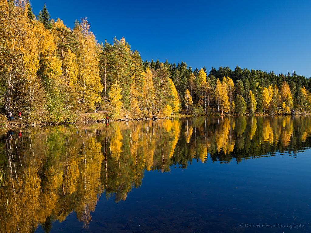 Norwegian Autumn Reflection