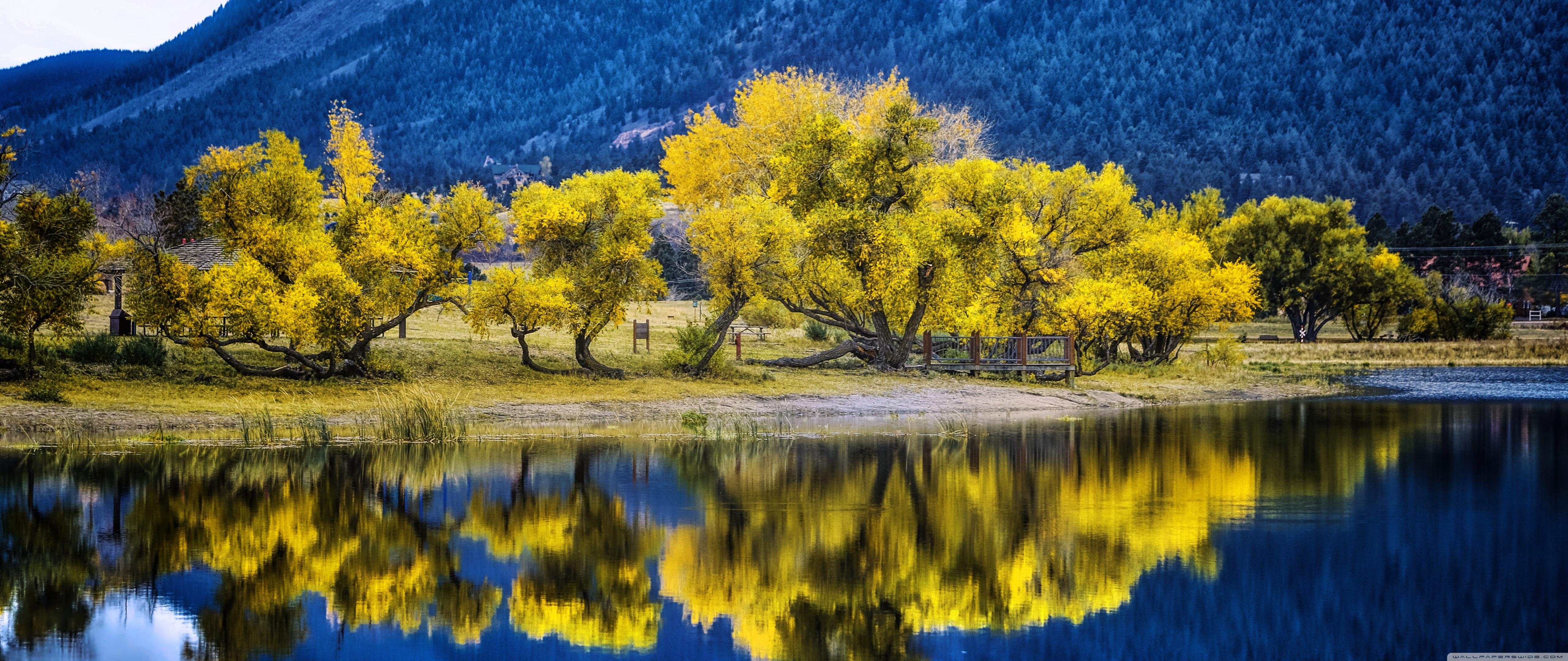 Autumn Yellow Trees Reflection, Palmer Lake ❤ 4K HD Desktop