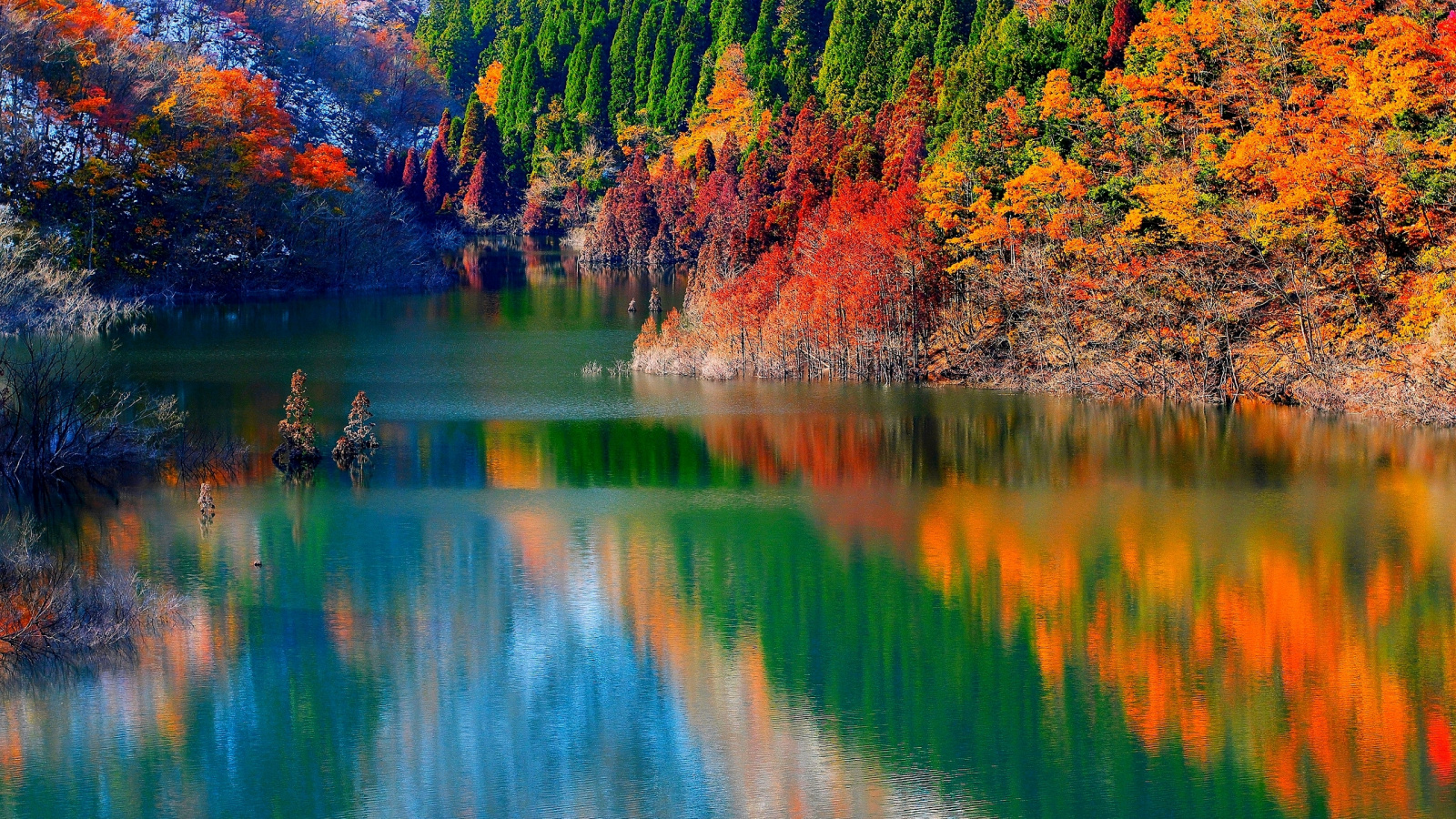Leaf, Pond, Bank, Golden Autumn, Autumn Leaf Color 16:9 HD+