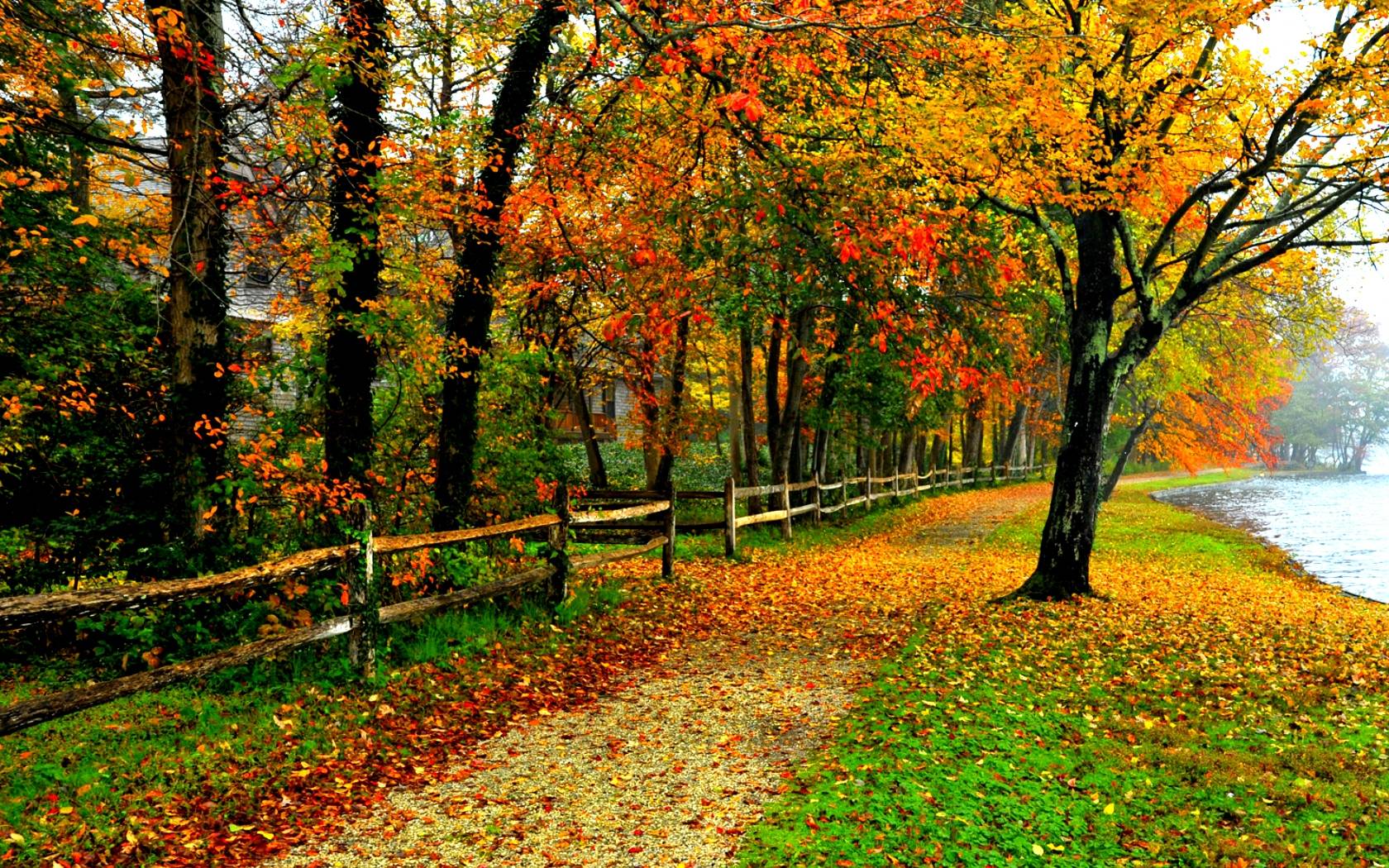 Image: Fall Colors Wallpaper Background