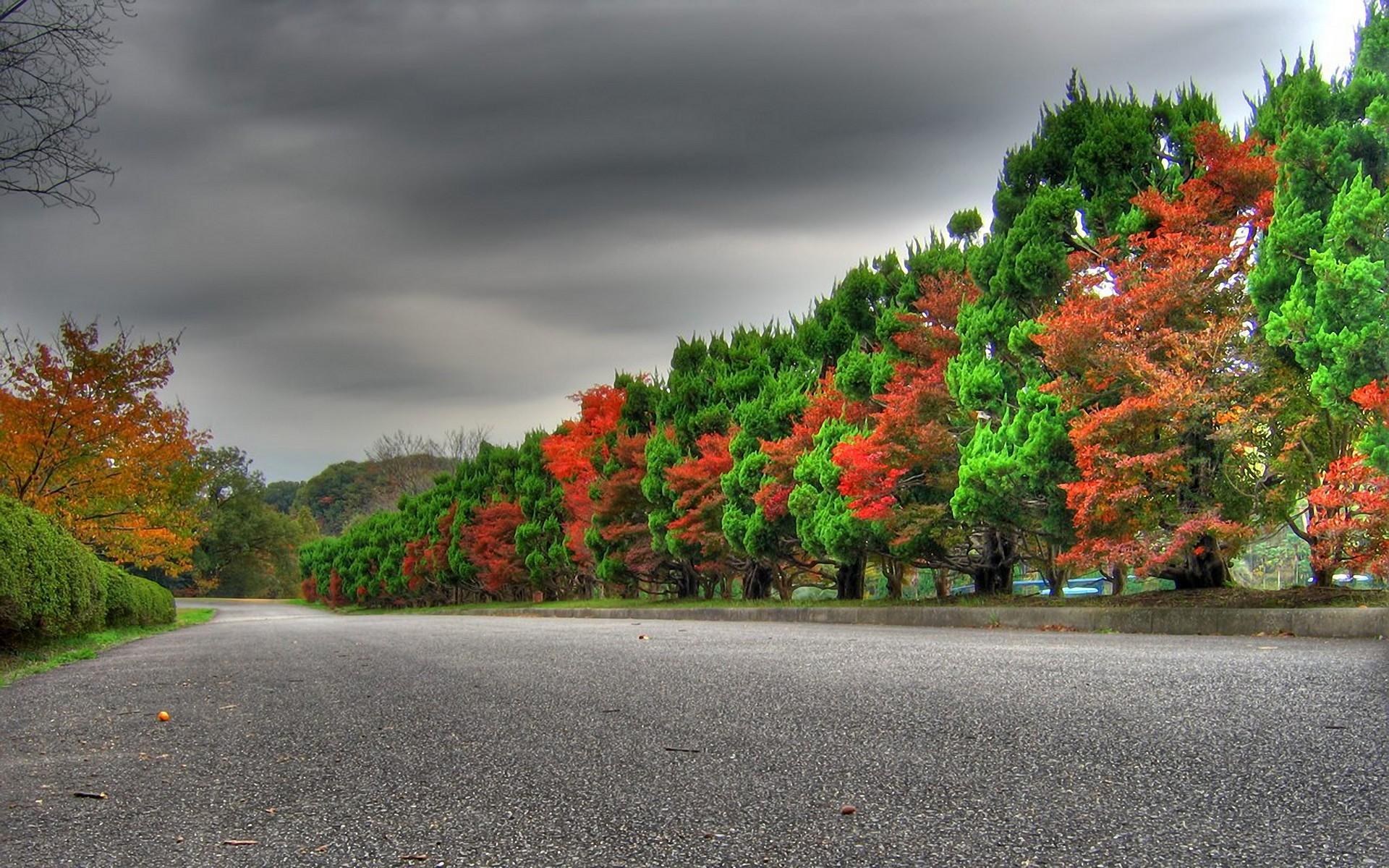 Colorful Autumn Trees & Road wallpaper. Colorful Autumn