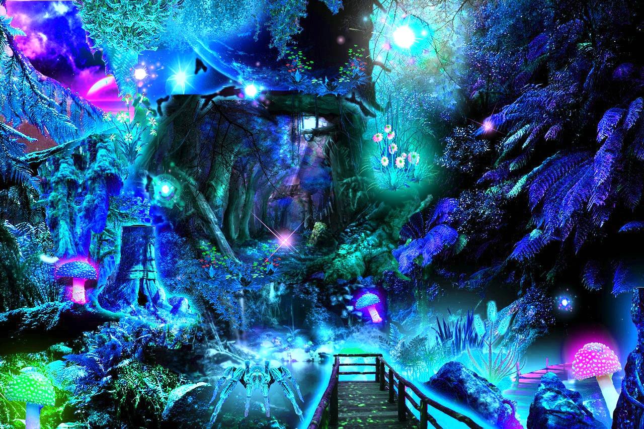 Magic Forest Wallpaper and Background Imagex853