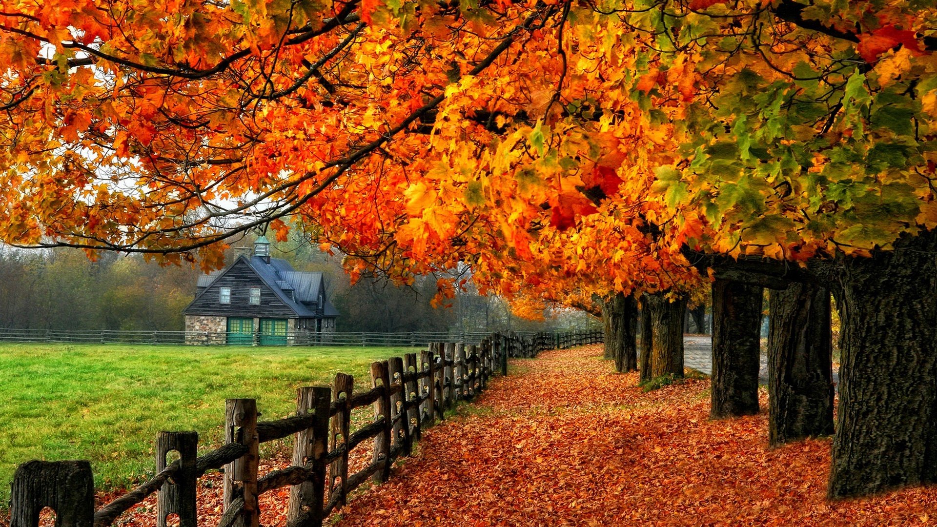 Wallpaper Colorful autumn, red leaves, path, grass, house