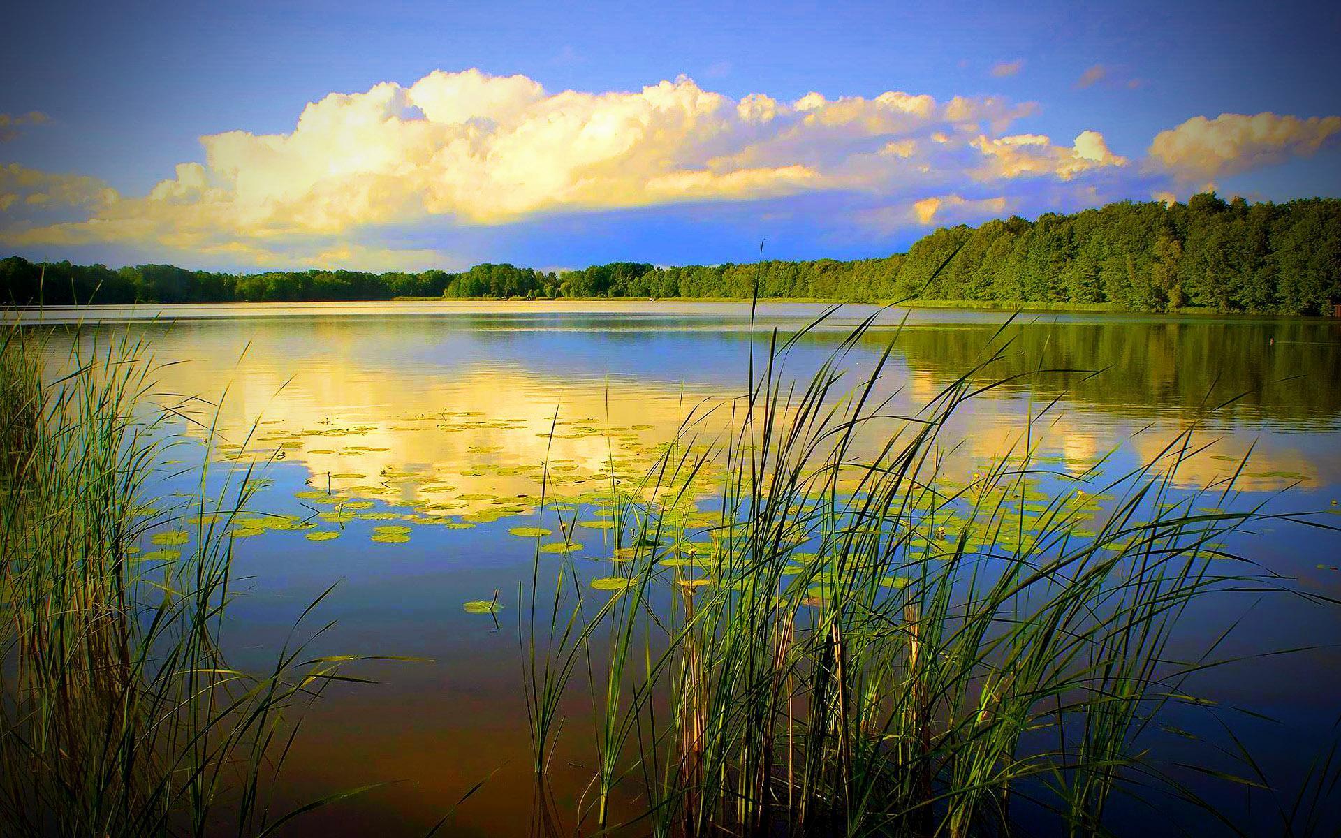 Panama Wallpaper for Android