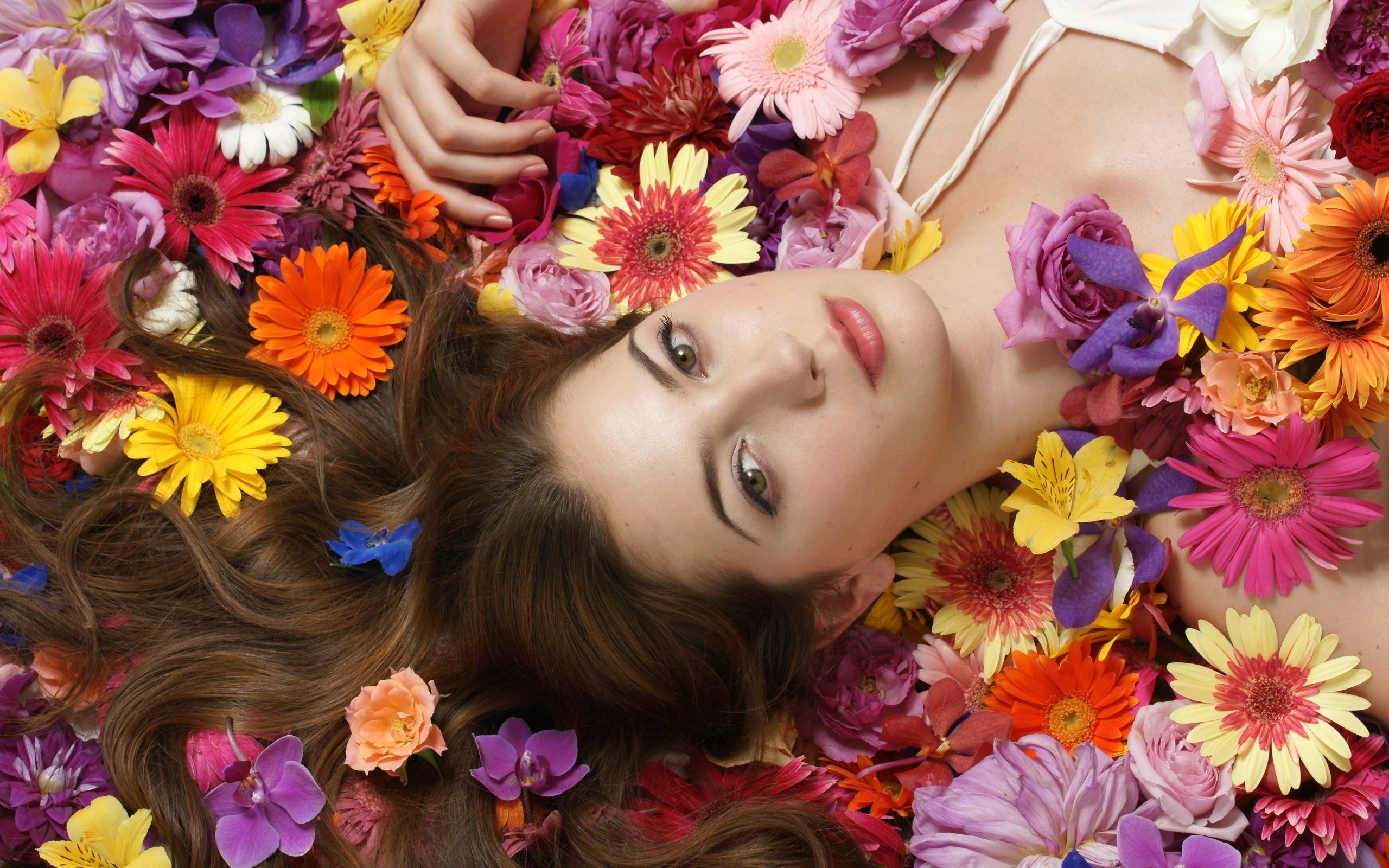 Girl lying flowers wallpaper
