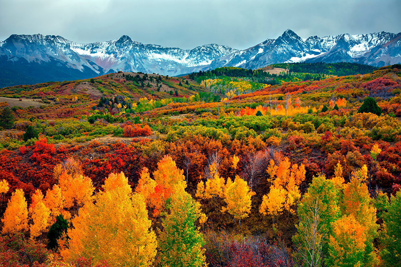 Photos Autumn Nature mountain Landscape photography Trees