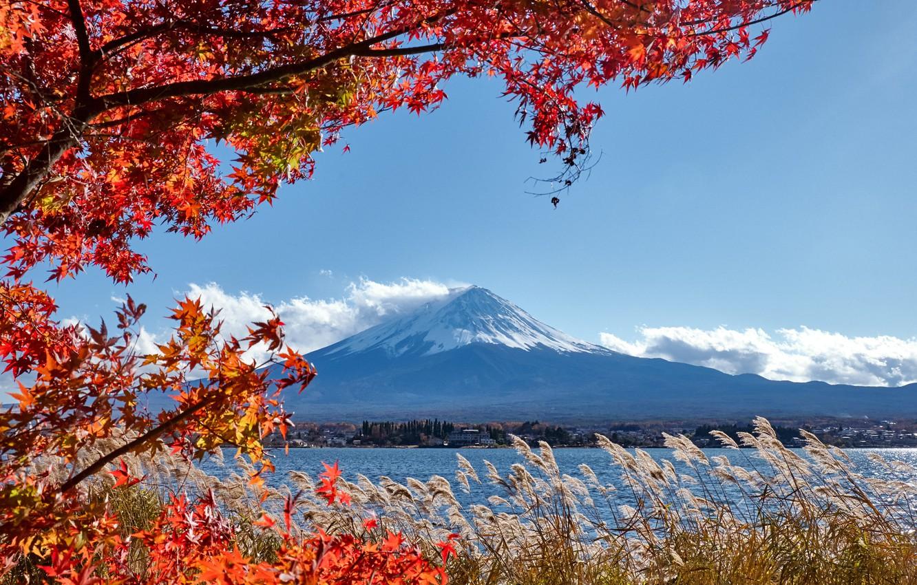 Wallpaper autumn, the sky, leaves, colorful, Japan, Japan, red, maple, mount Fuji, landscape, autumn, leaves, autumn, maple, Fuji Mountain image for desktop, section пейзажи