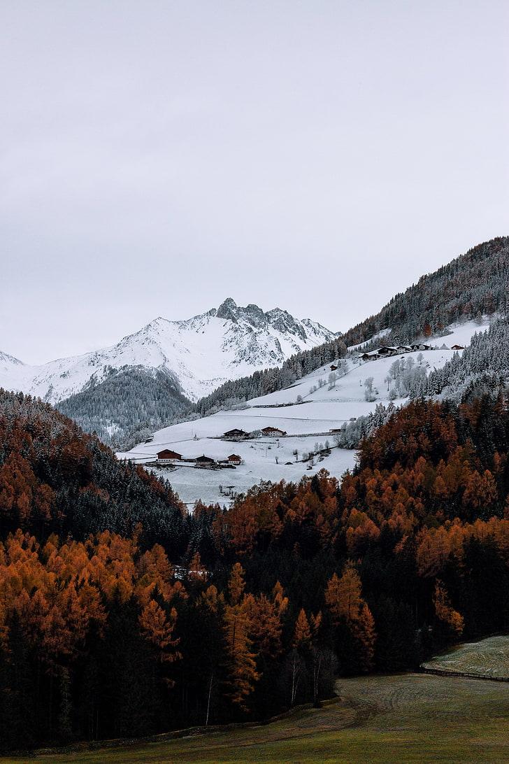 HD wallpaper: nature, mountains, trees, snow, landscape