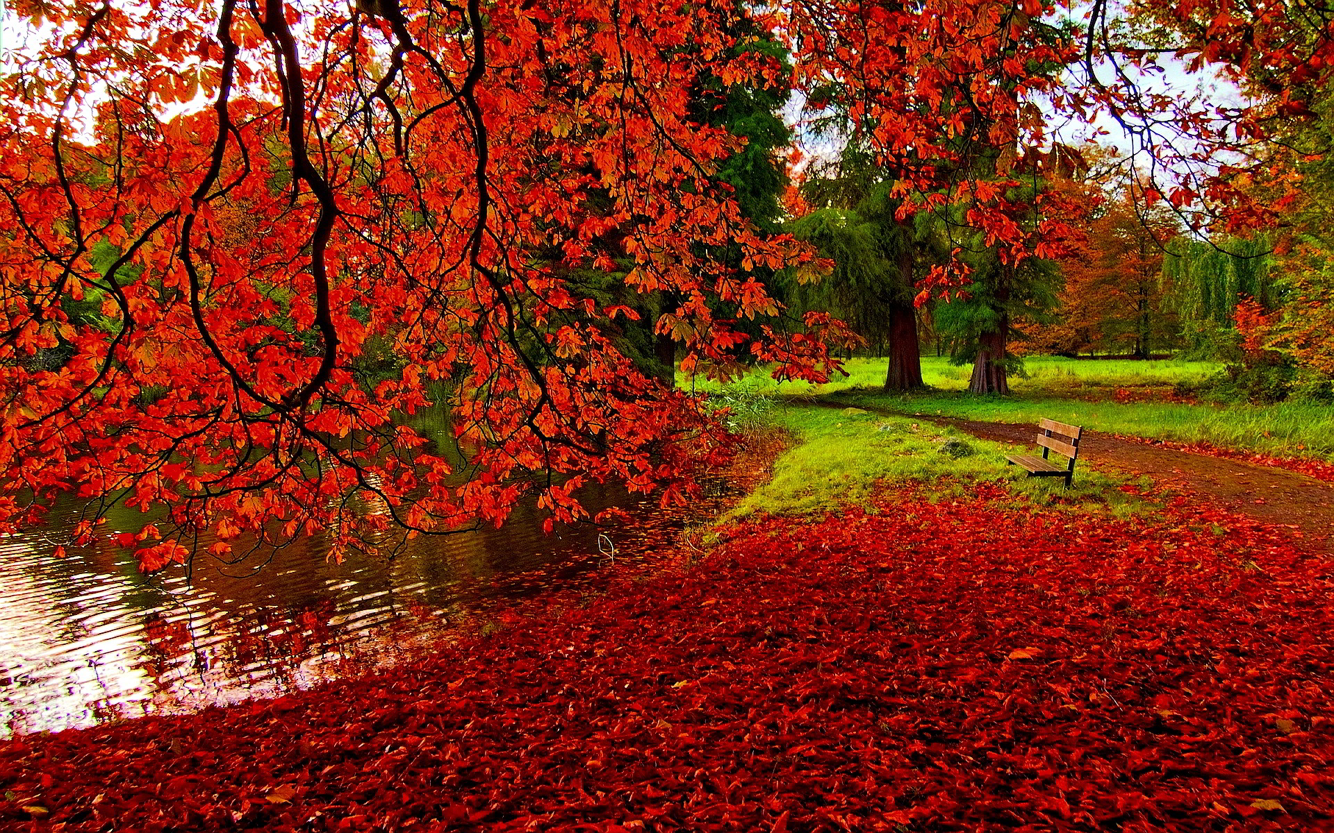Romantic Autumn HD Desktop Wallpaper Nature
