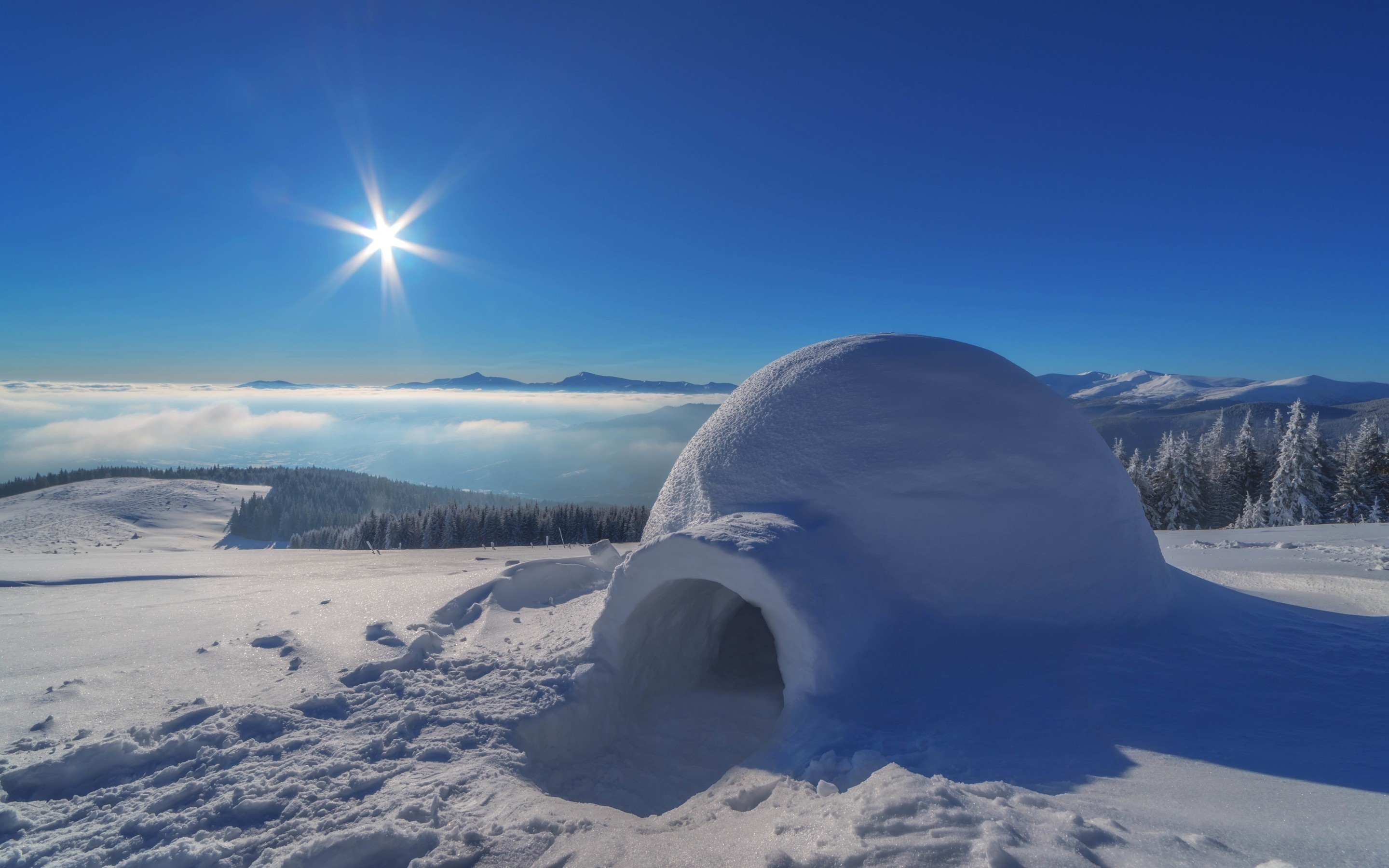 Igloo HD Wallpaper