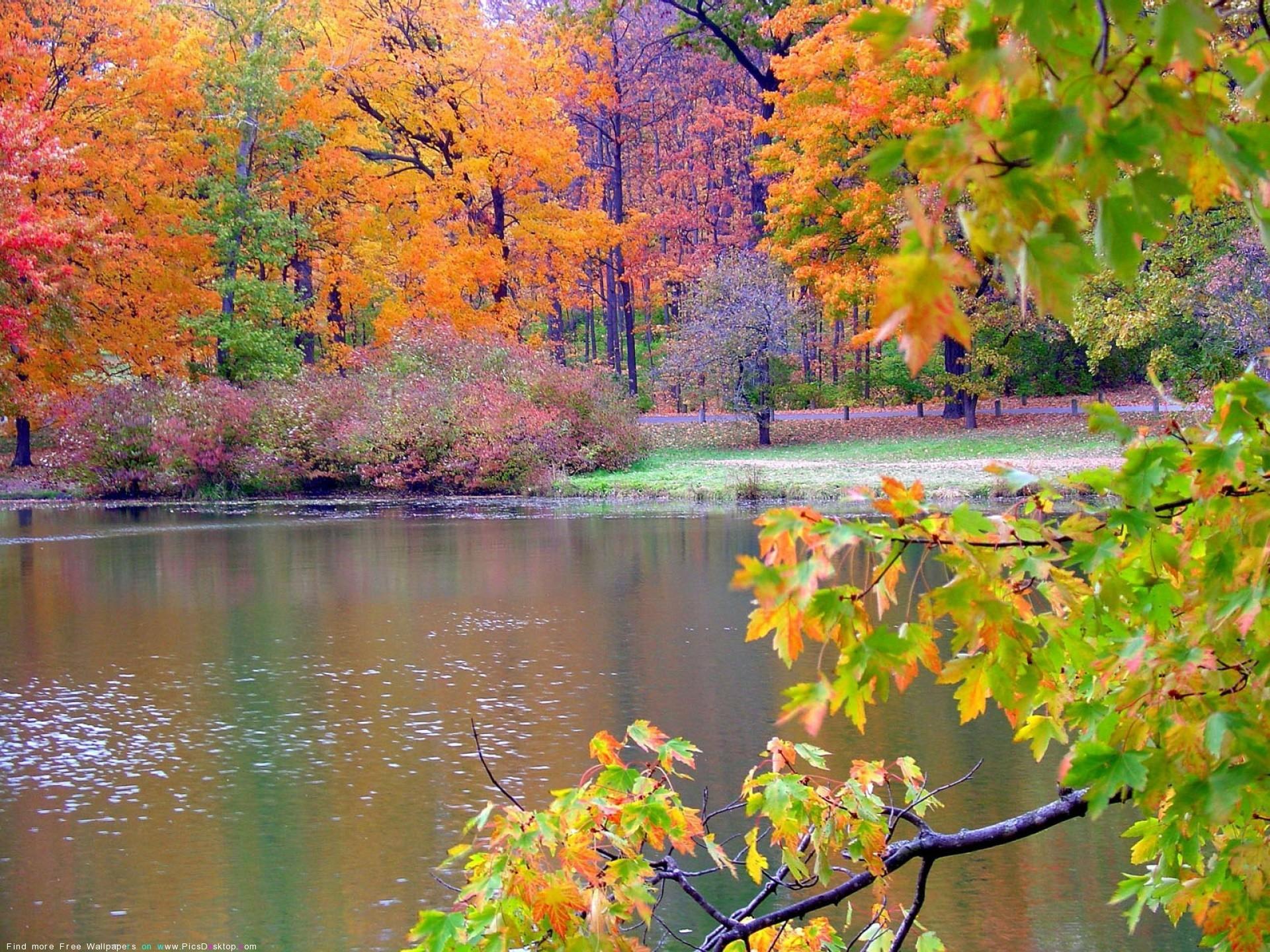 Autumn Wallpaper for Desktop background picture