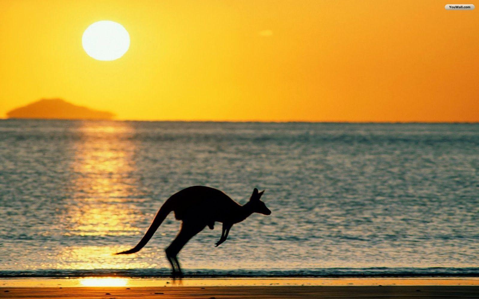 HD wallpaper: Australia Beaches Wallpaper. Australia picture, Places to travel, Australia fun facts