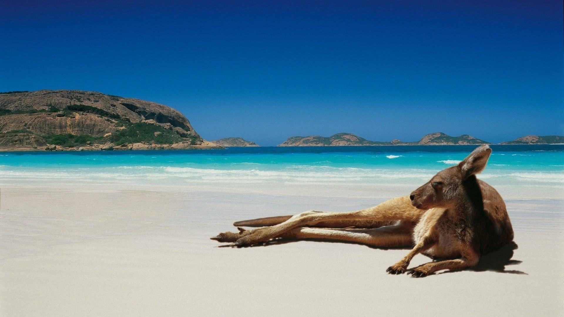 Beach Wallpaper Australian Best Wallpaper