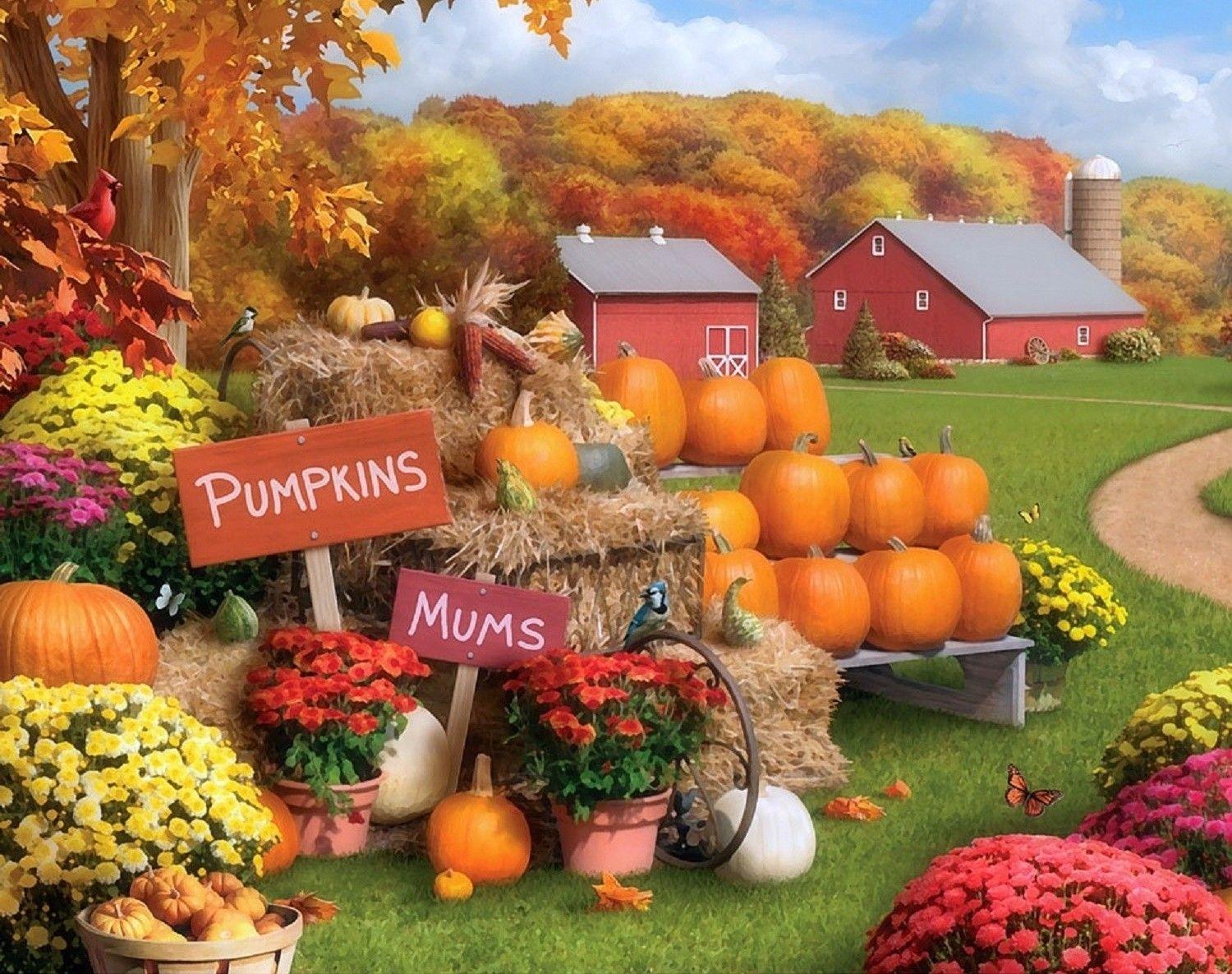 Fall Mums and Pumpkins Wallpaper