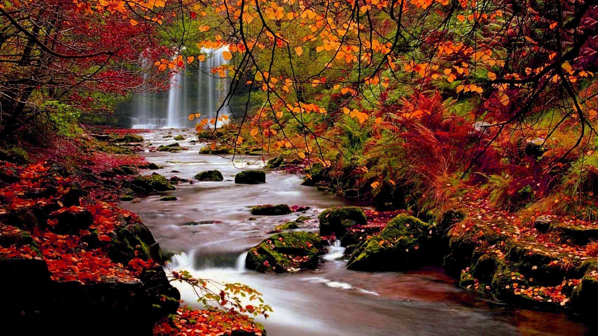 Fall Landscape Desktop Wallpaper