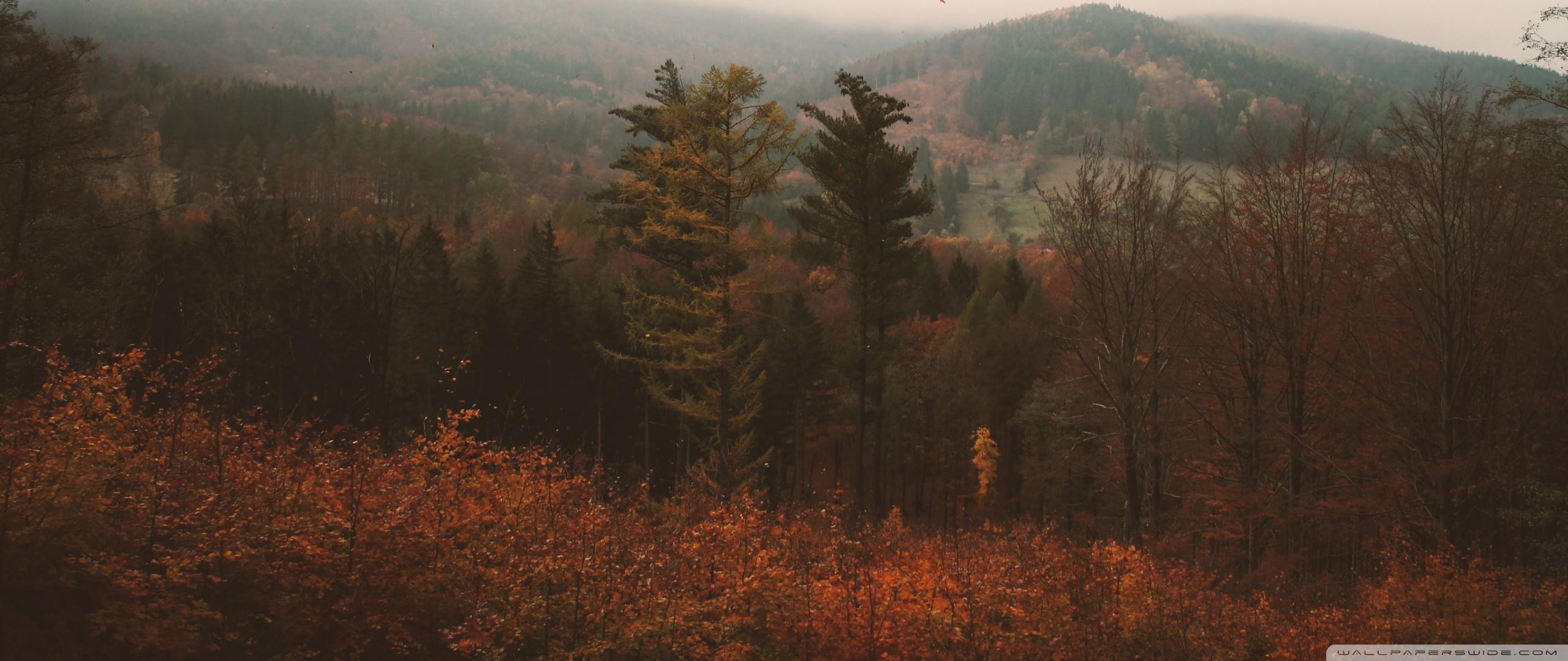 Worst Memories ❤ 4K HD Desktop Wallpaper for 4K Ultra HD TV