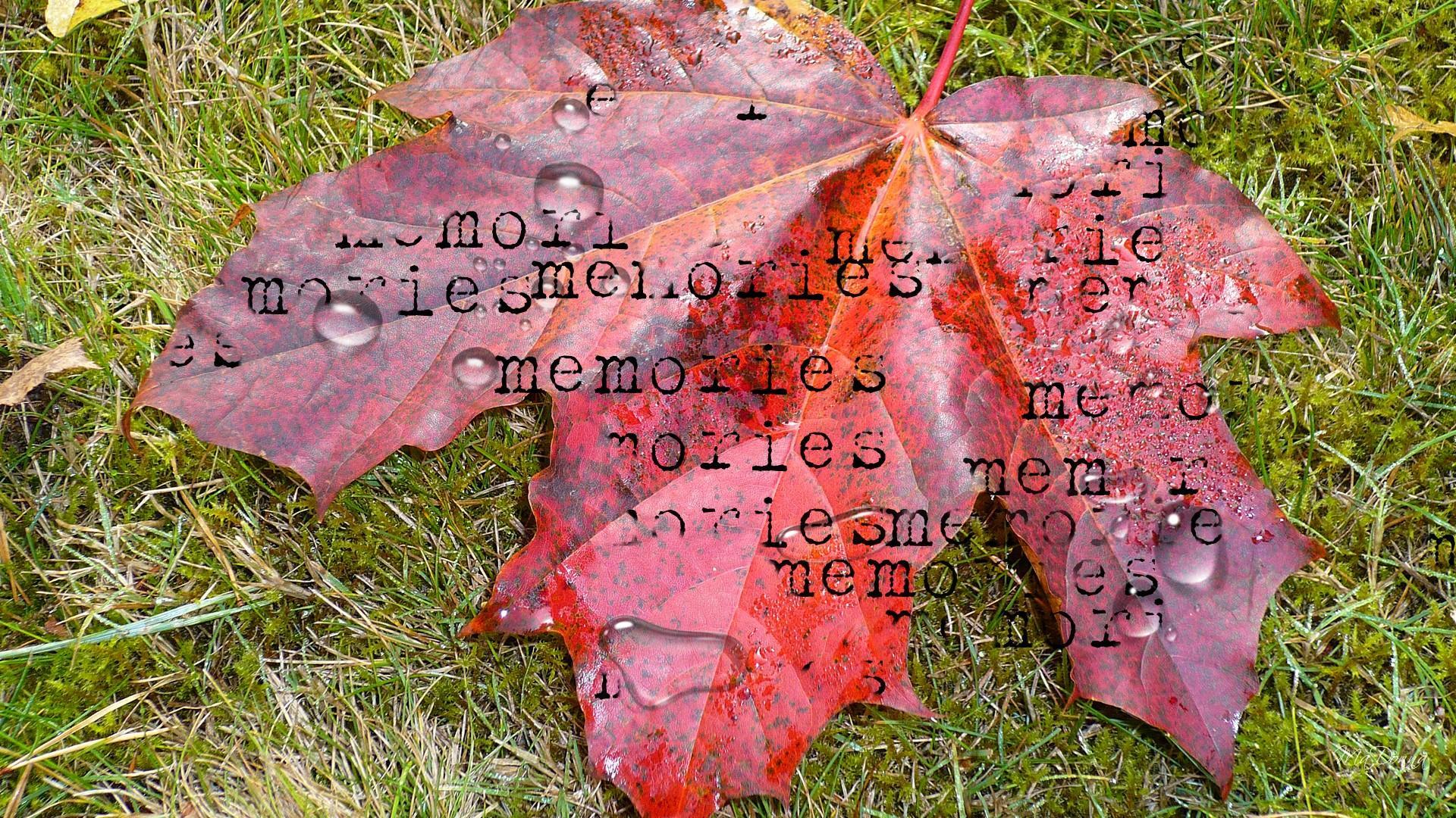 Memories Of Autumns Past (id: 126152)