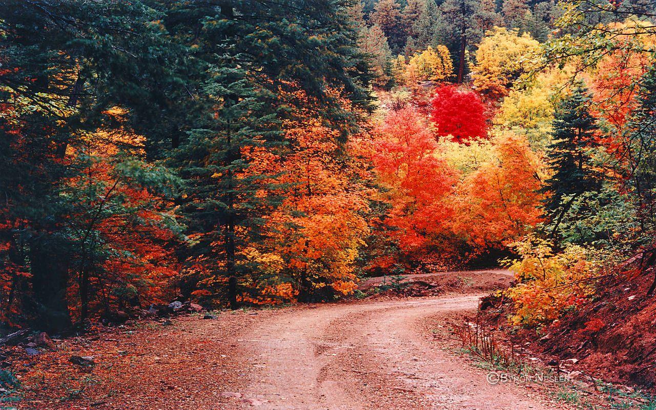Autumnal Soul, Photo. Landscape, Mountain landscape, Autumn photography