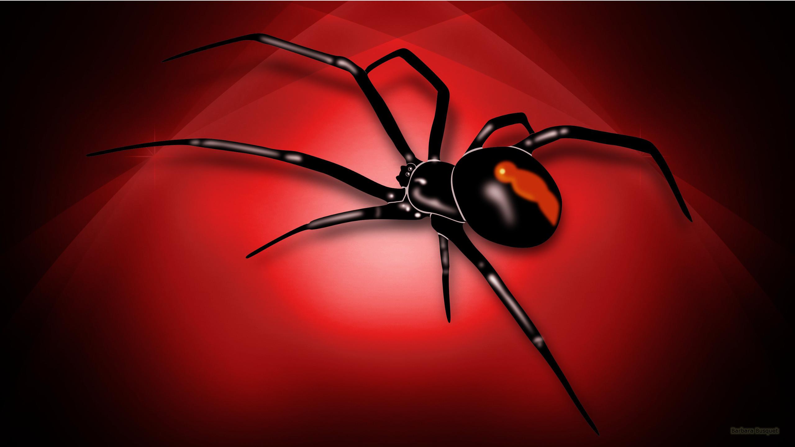 Scary Spider Wallpaper