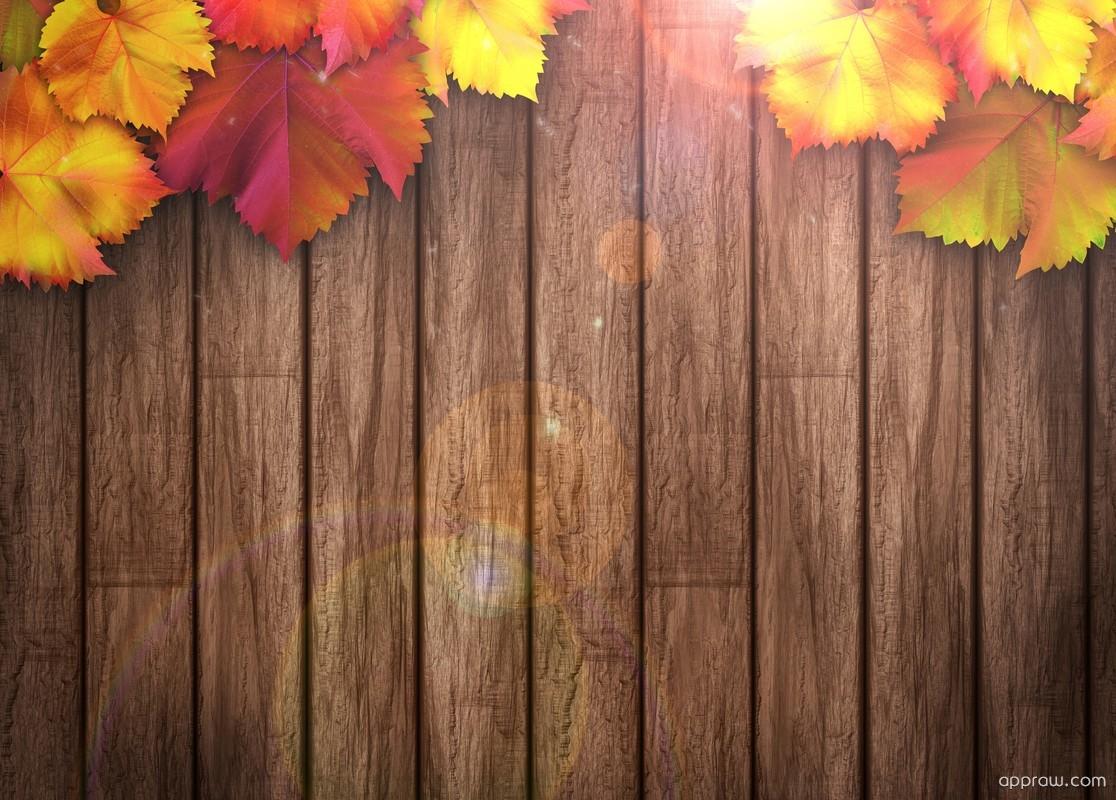 Autumn Leaves On Wooden Background Leaves Wood