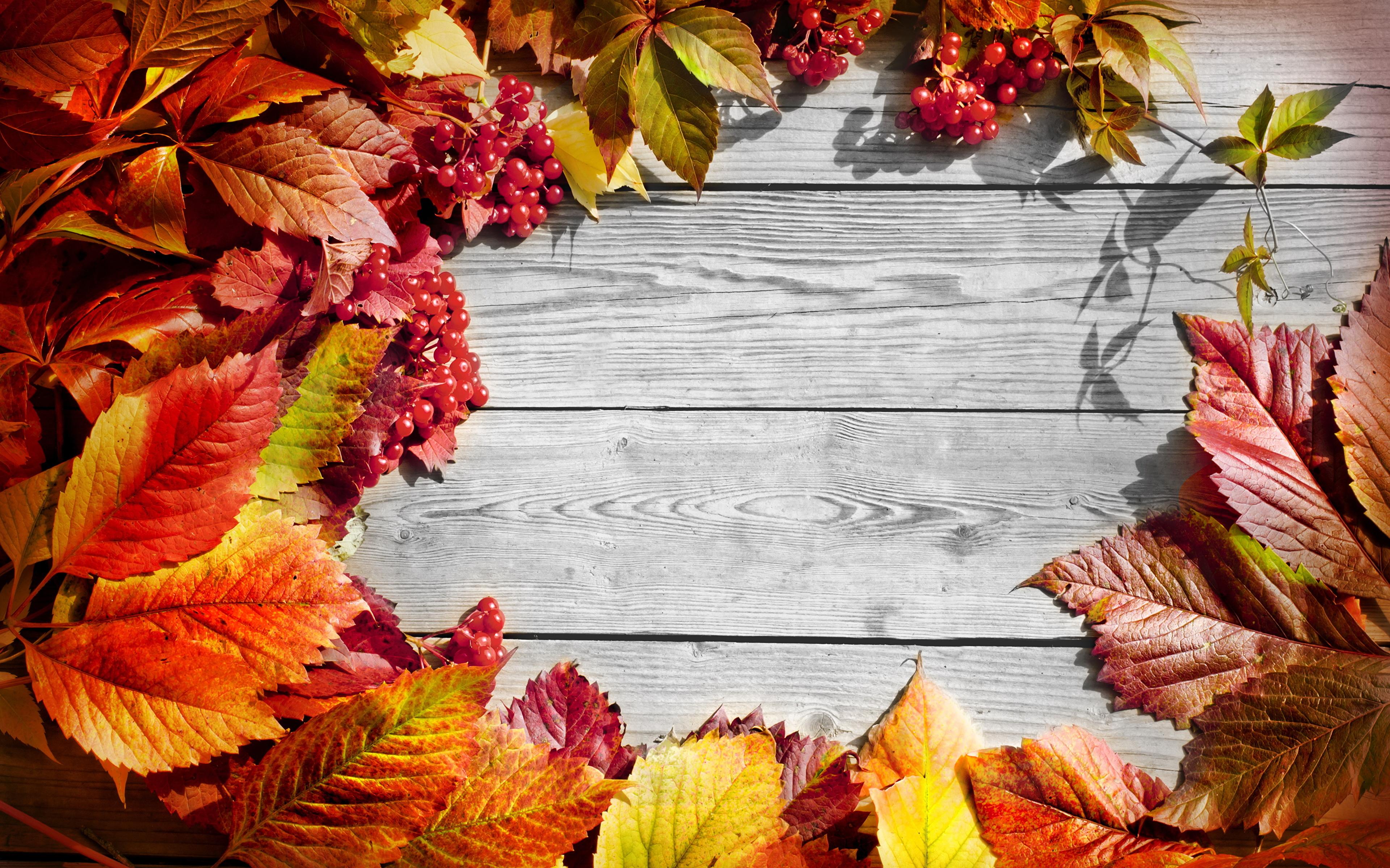 Desktop Wallpaper Leaf Autumn greeting card 3840x2400