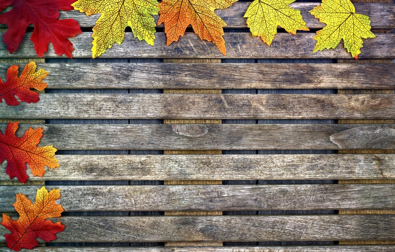 Wallpapers autumn, leaves, background, tree, colorful, maple, wood, background, autumn, leaves, autumn, maple image for desktop, section текстуры