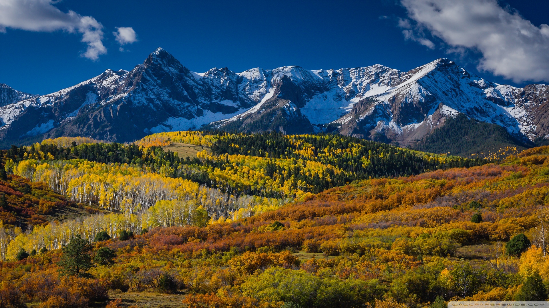 Mountain Landscape In Aspen, Colorado ❤ 4K HD Desktop
