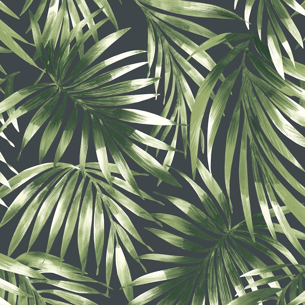 Green Tropical Leaves Wallpapers Wallpaper Cave