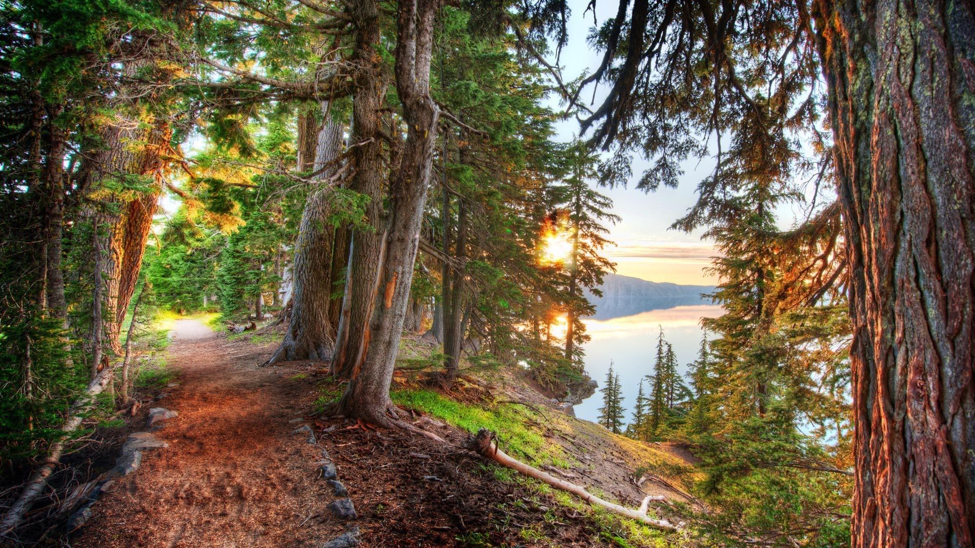 nature, HDR, Landscape, Lake, Trees, Forest, Path, Dirt Road