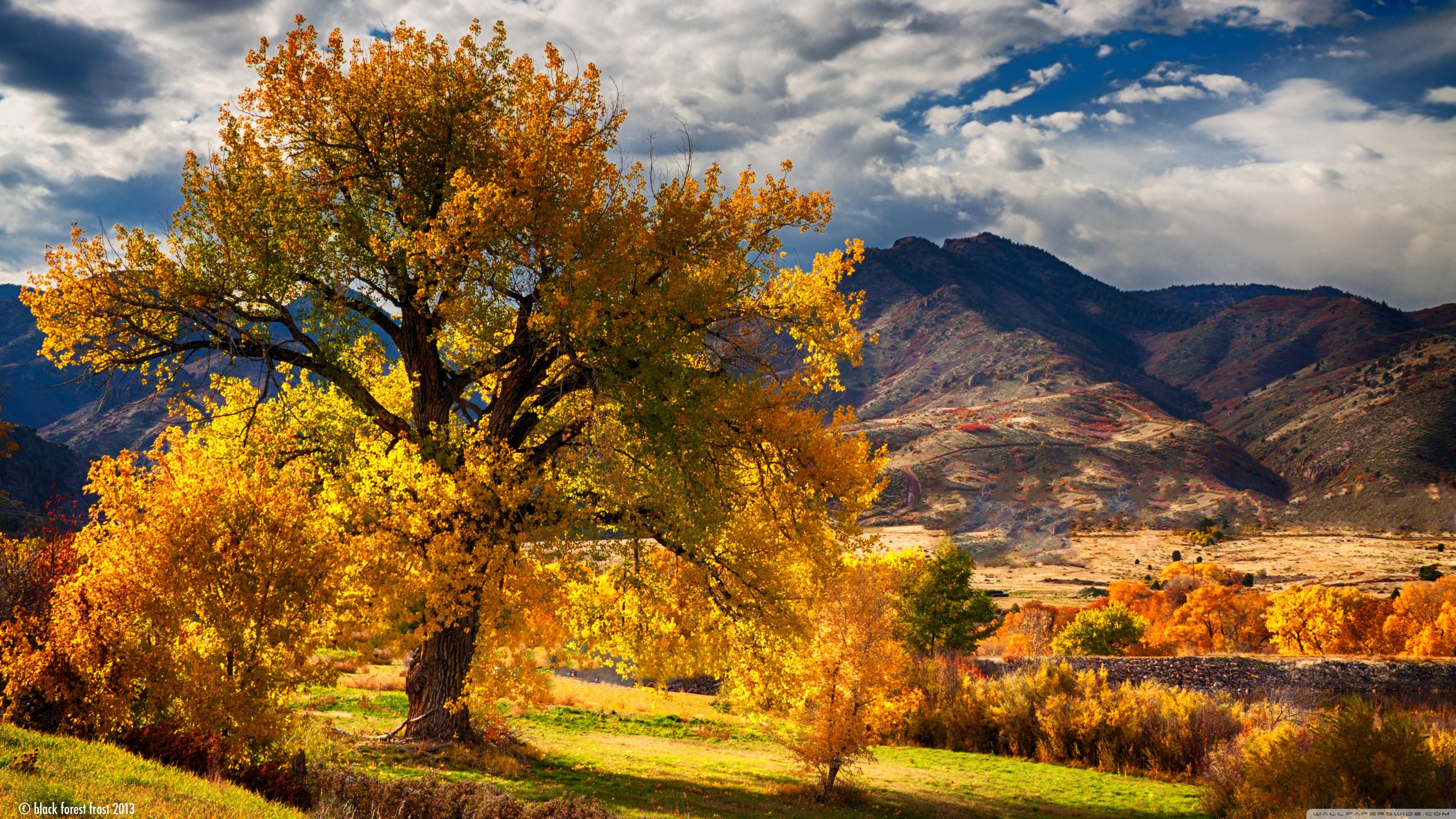 Beautiful Autumn Scenery Colorado ❤ 4K HD Desktop Wallpaper