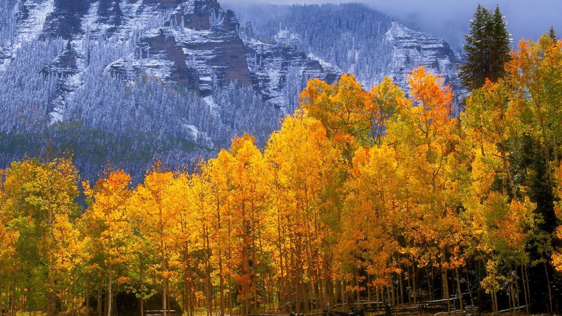 Autumn in Colorado wallpaper. Colorado: Home Sweet Home