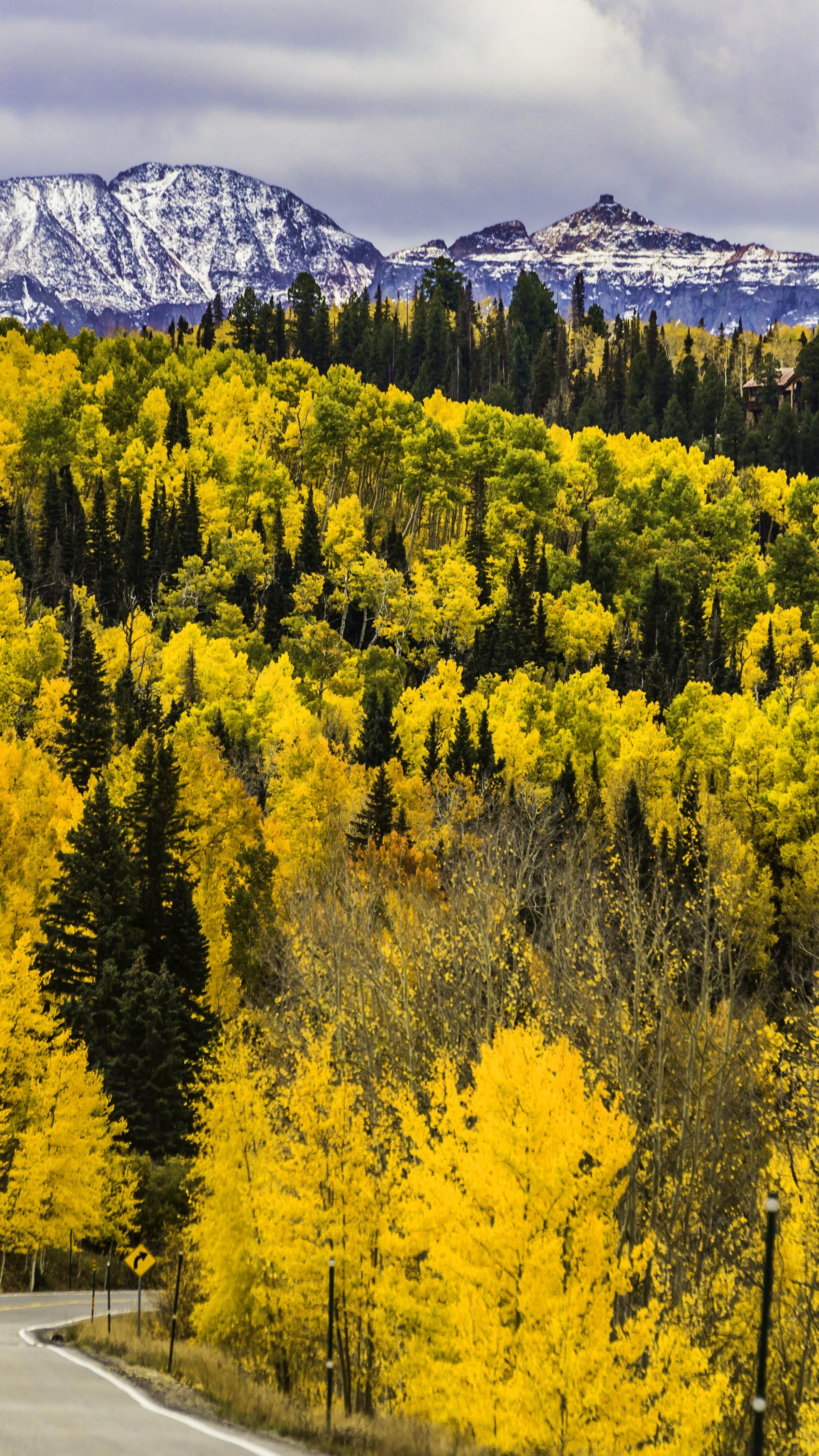 Wallpaper autumn, forest, trees, mountains, road, Colorado