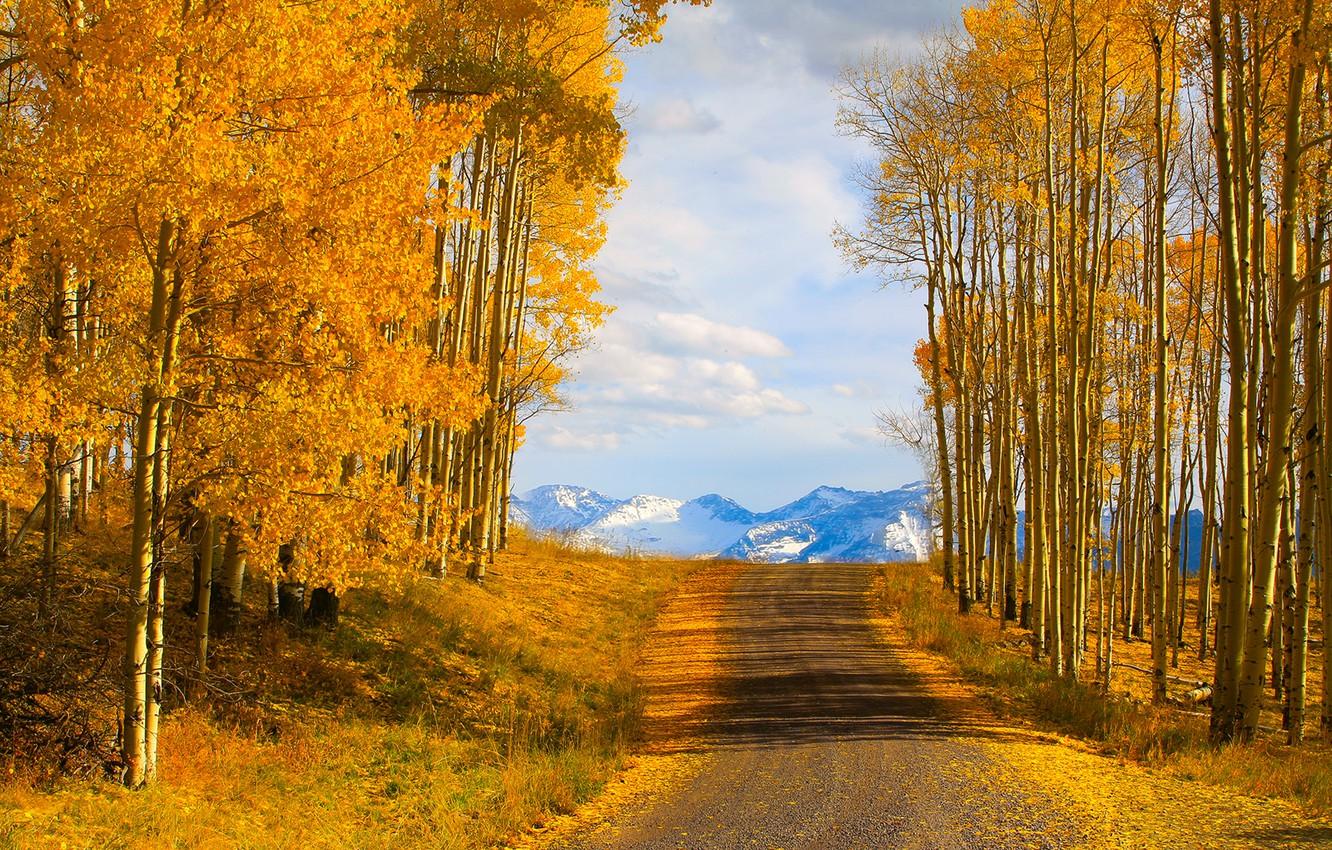 Wallpaper road, autumn, the sky, trees, mountains, nature