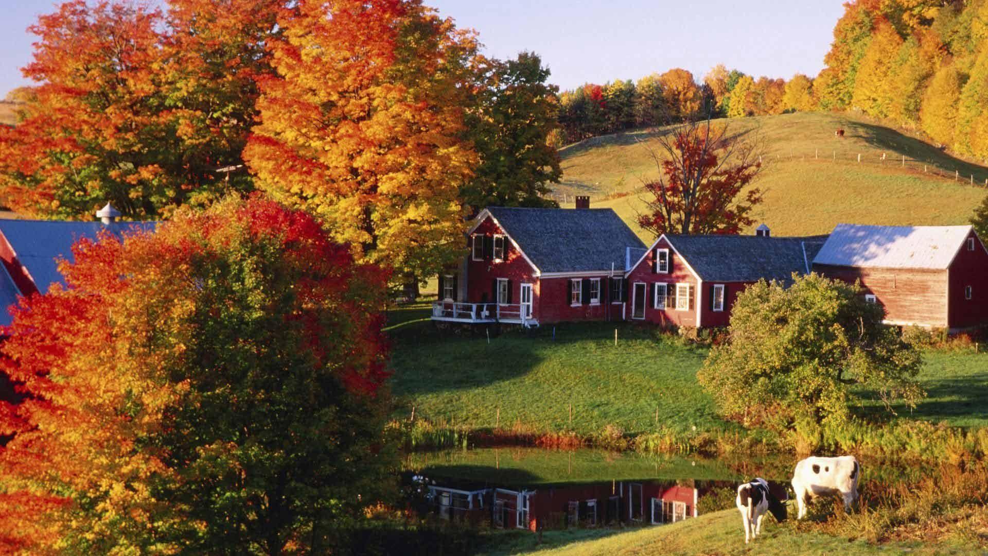 Vermont in Fall Desktop Wallpaper Free Vermont