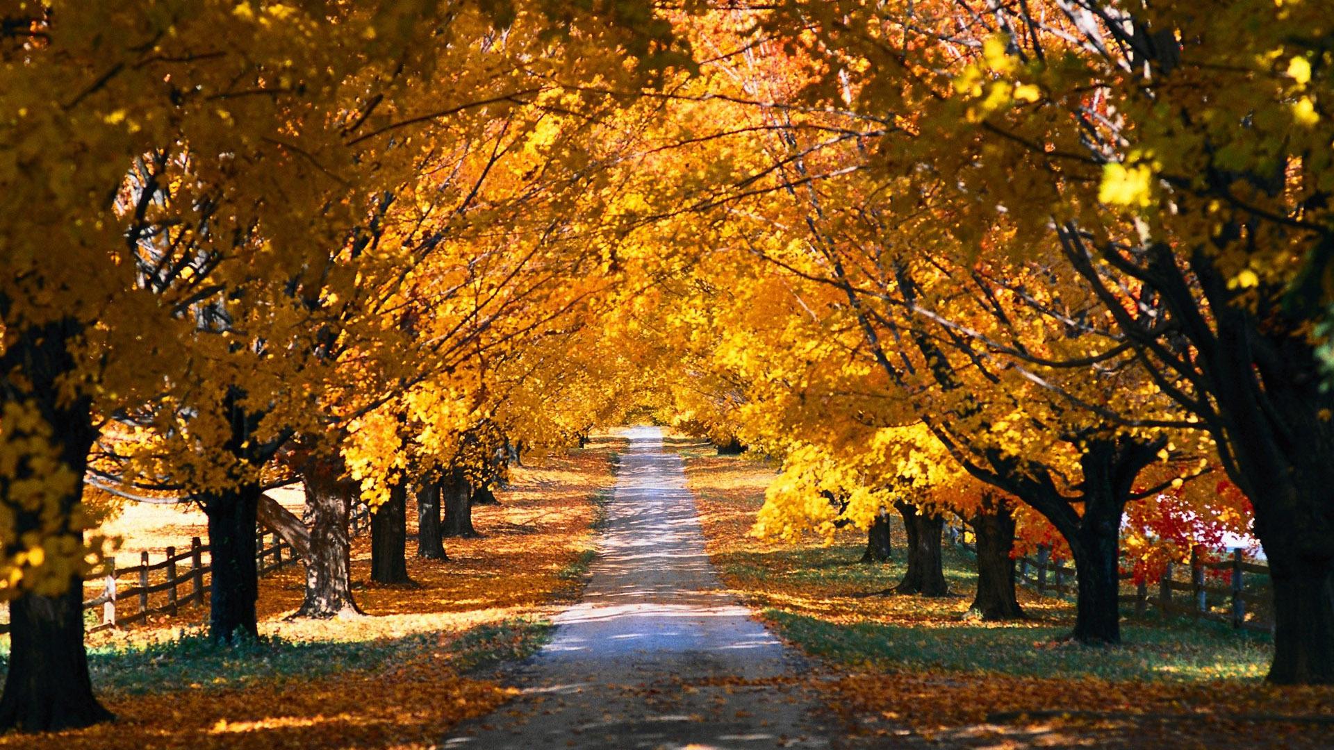Country Town In Autumn Wallpapers - Wallpaper Cave