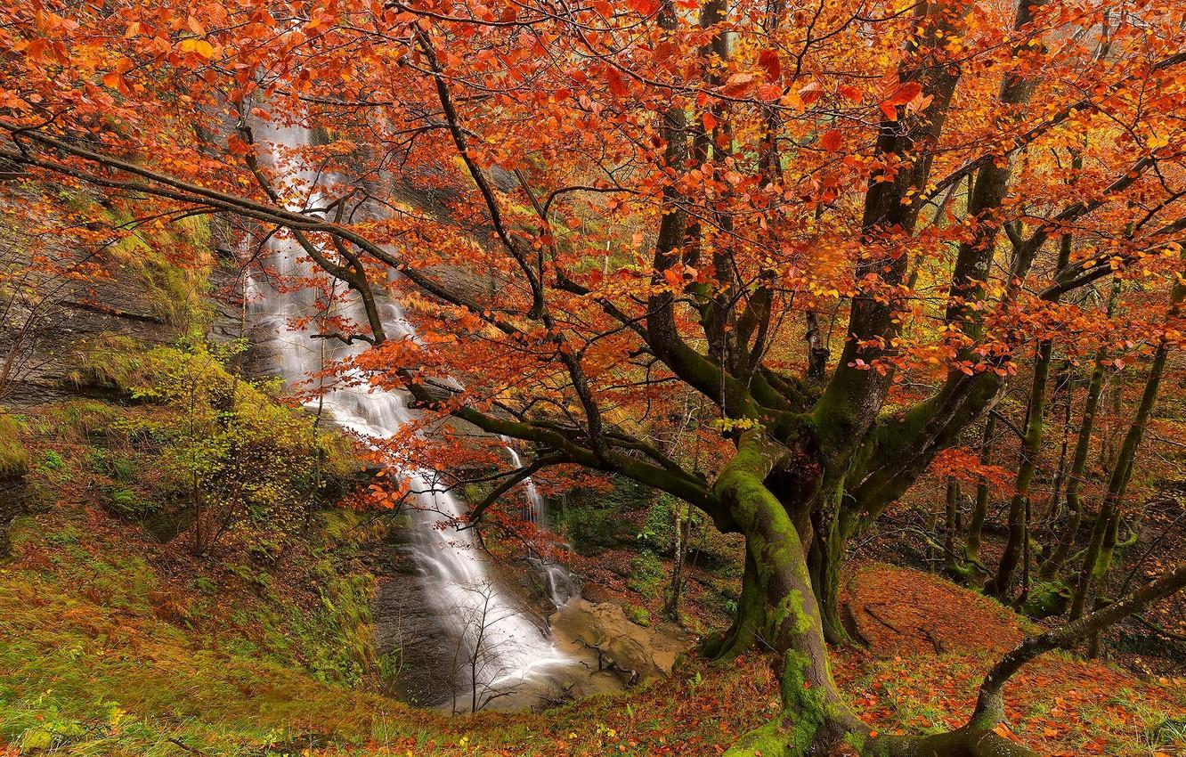 Wallpaper autumn, forest, trees, waterfall, Spain, Spain