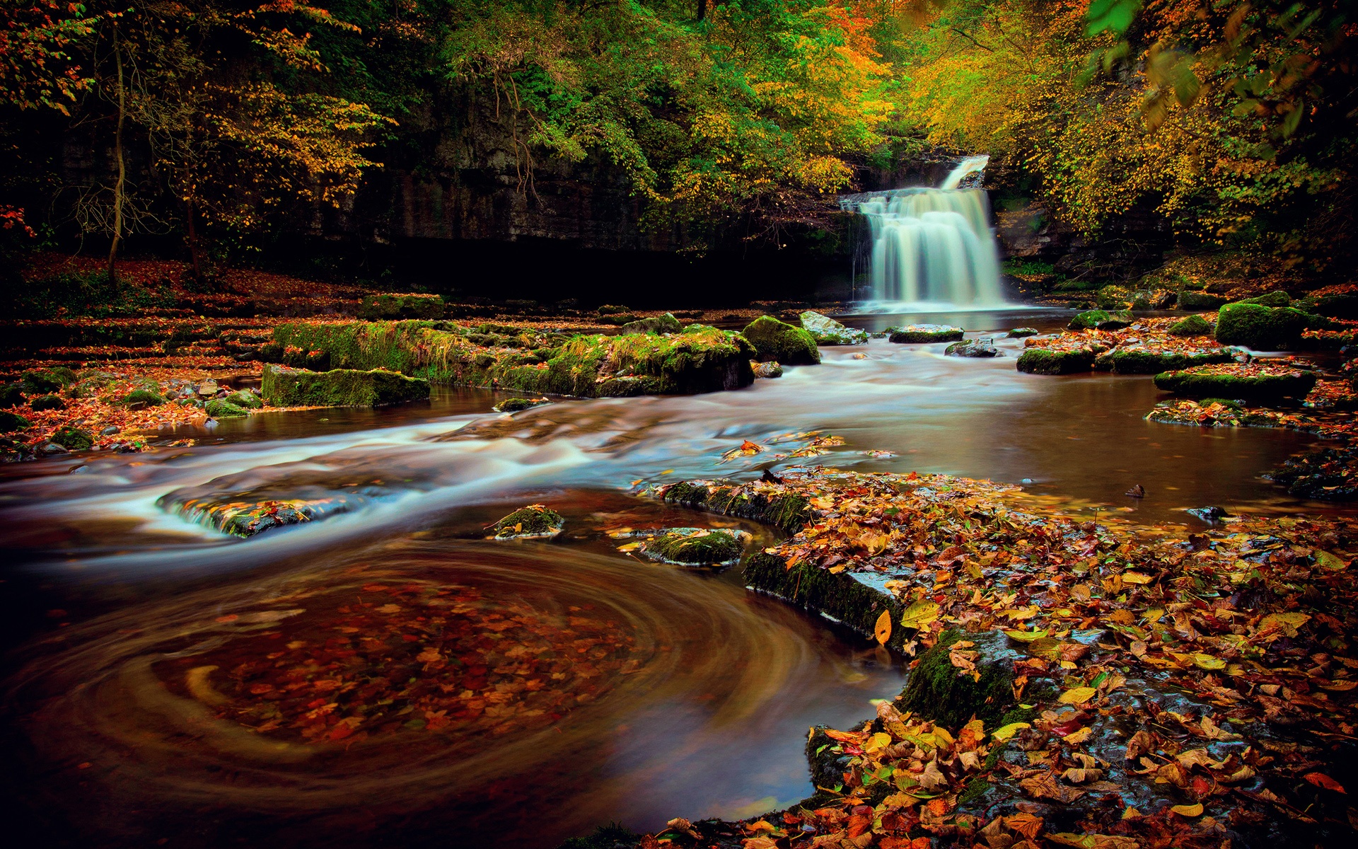 Northern England, Yorkshire, forest, waterfall, foliage