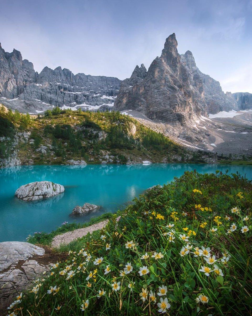 Ljestve teme #sorapis na Twitteru