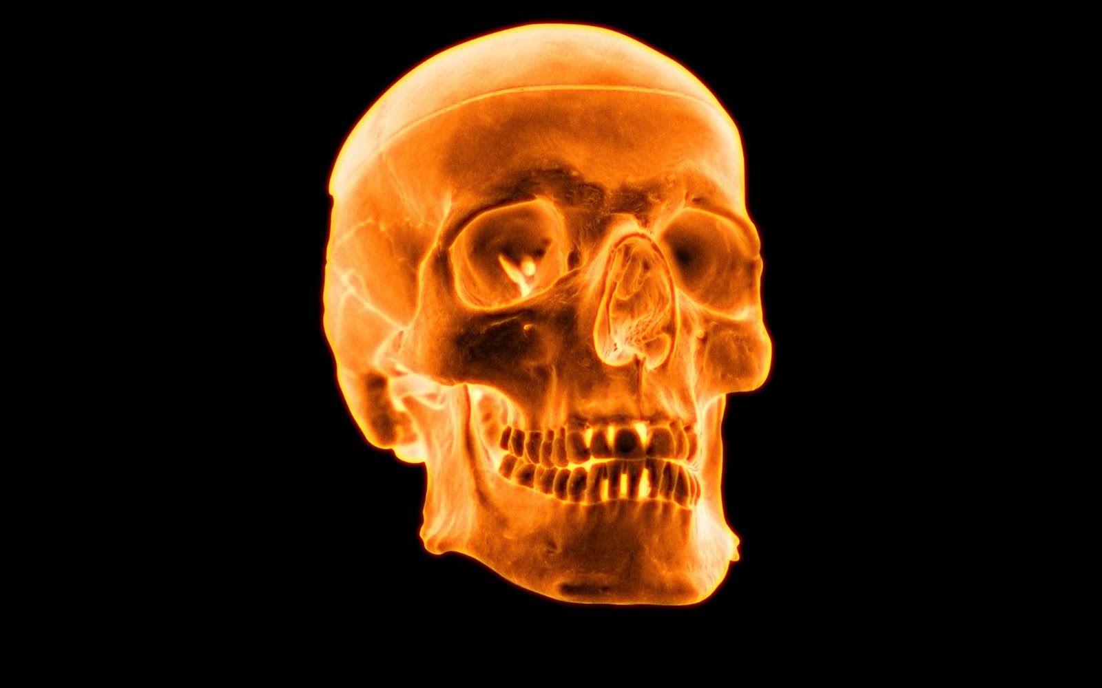Creative 10 Cool 3D Flaming Skull Wallpaper With Resolution